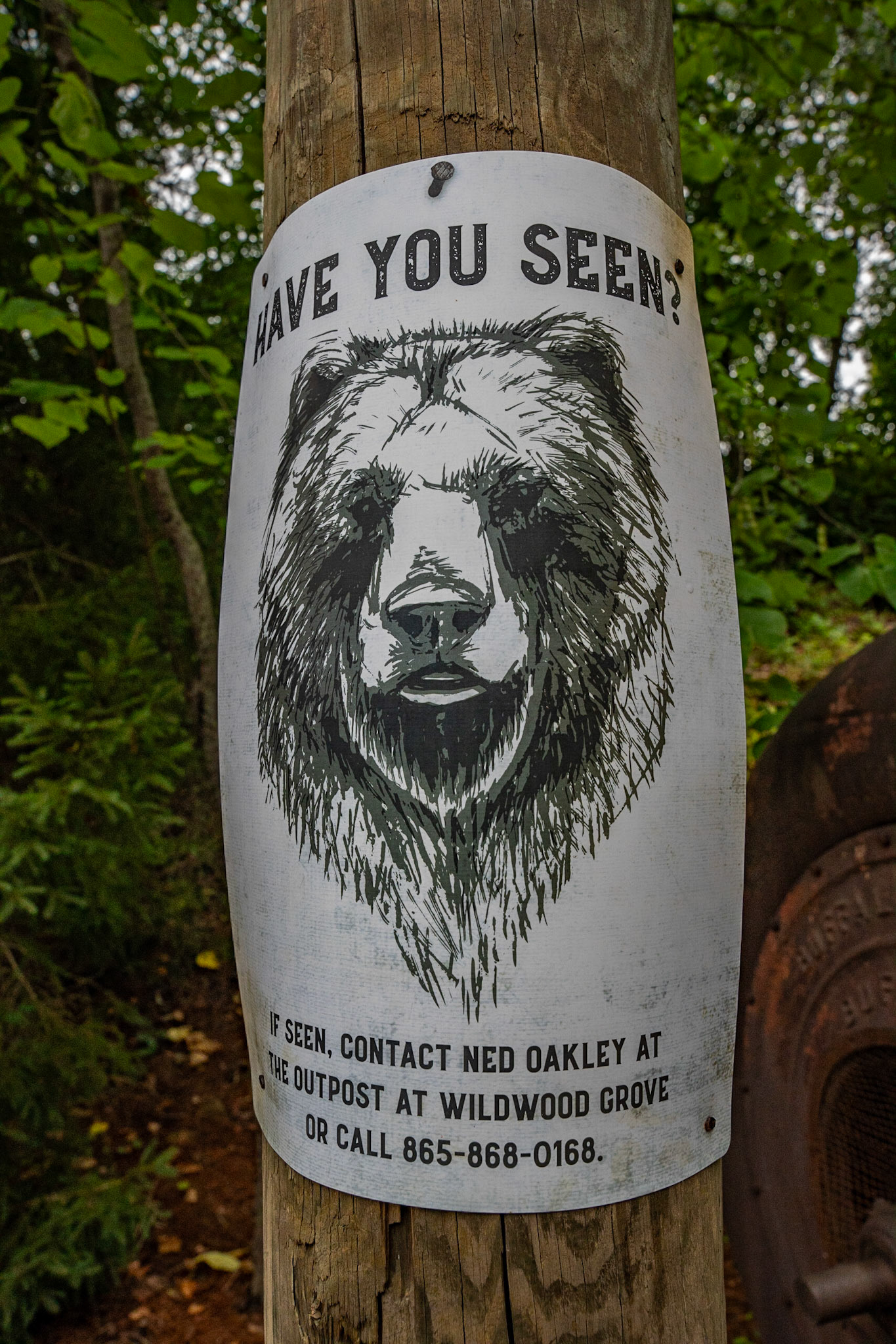 Photo by Jon Roost (www.jonroostphotos.com)