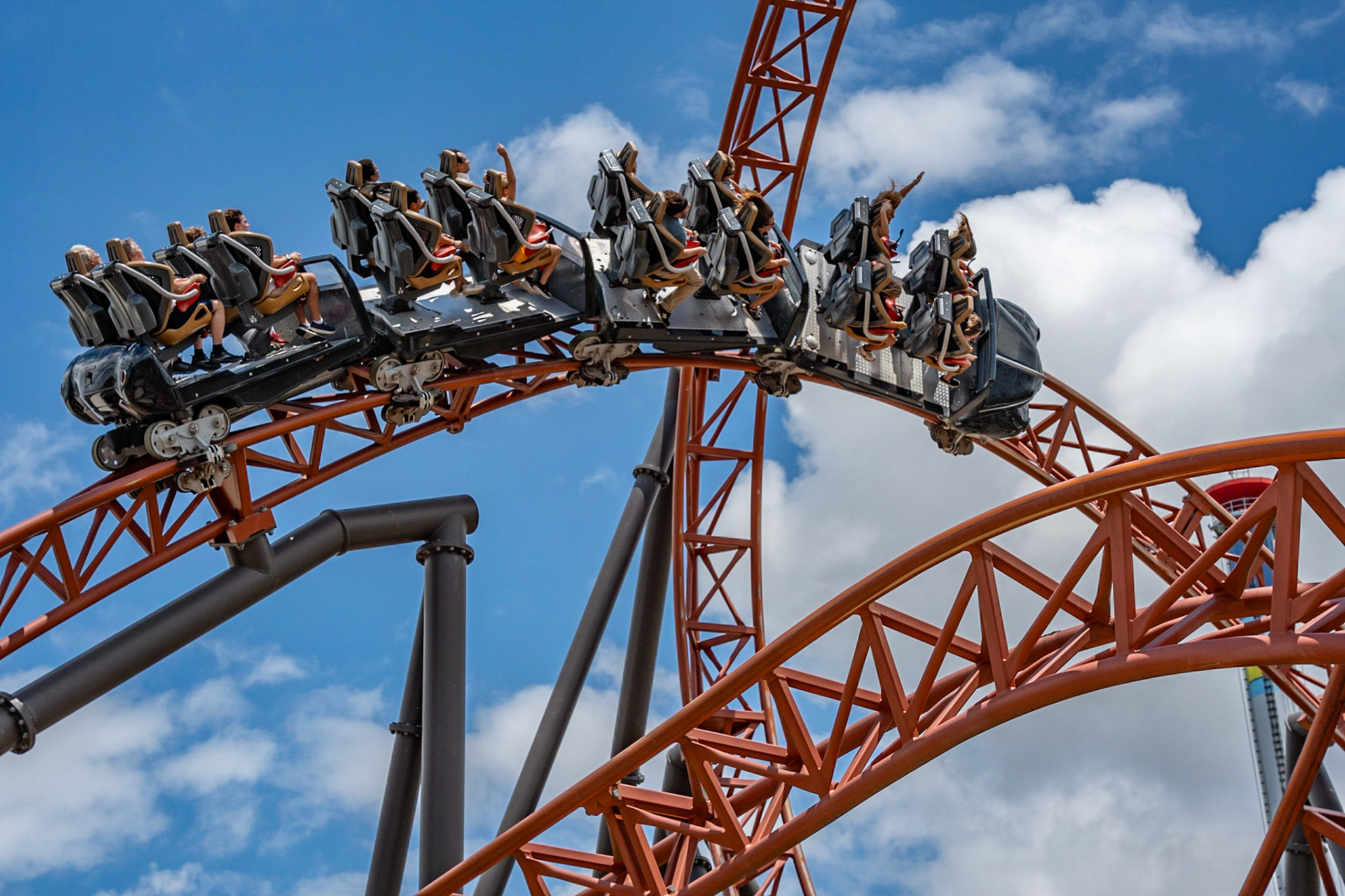 Photo by Jon Roost (www.jonroostphotos.com)