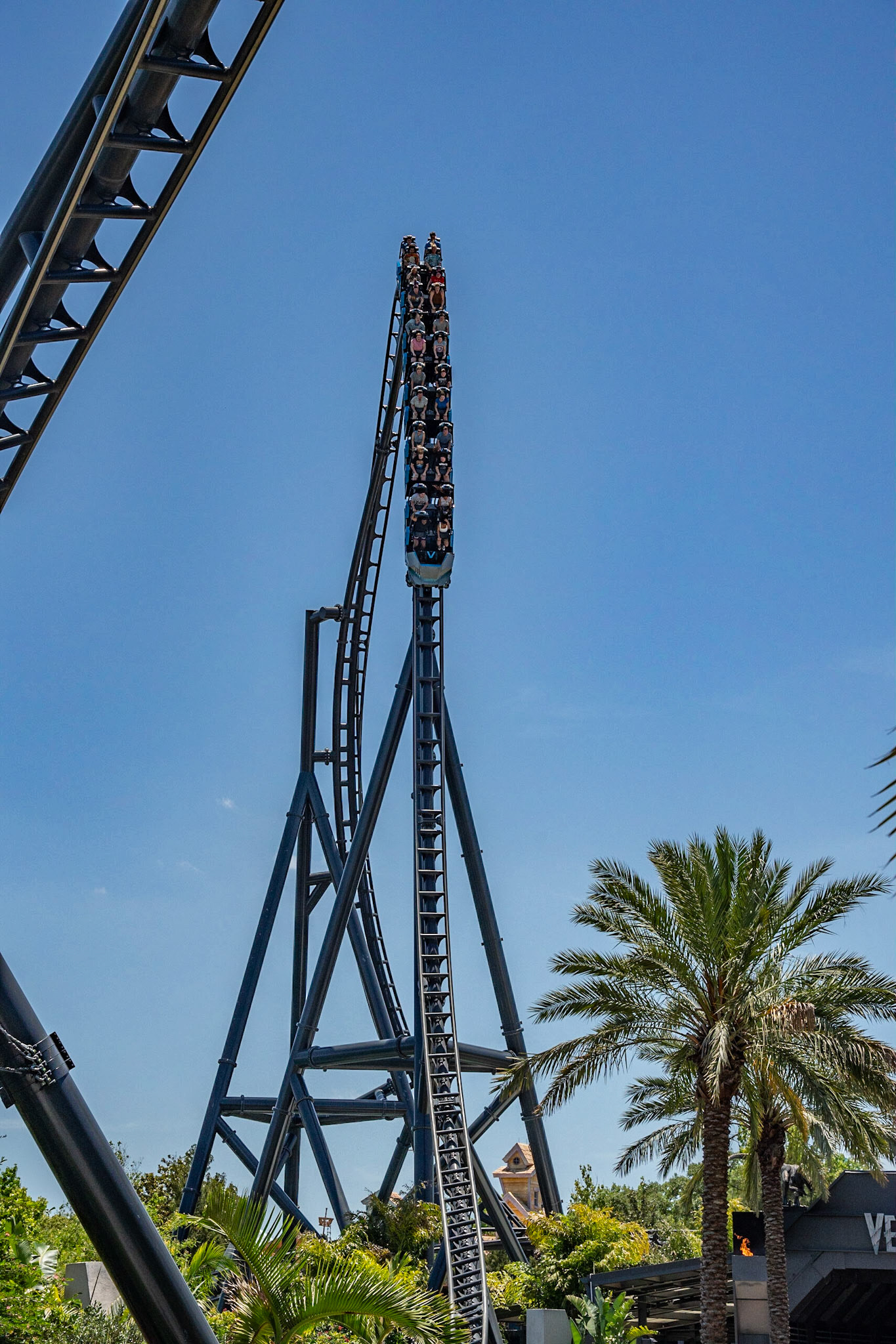 Photo by Jon Roost (www.jonroostphotos.com)