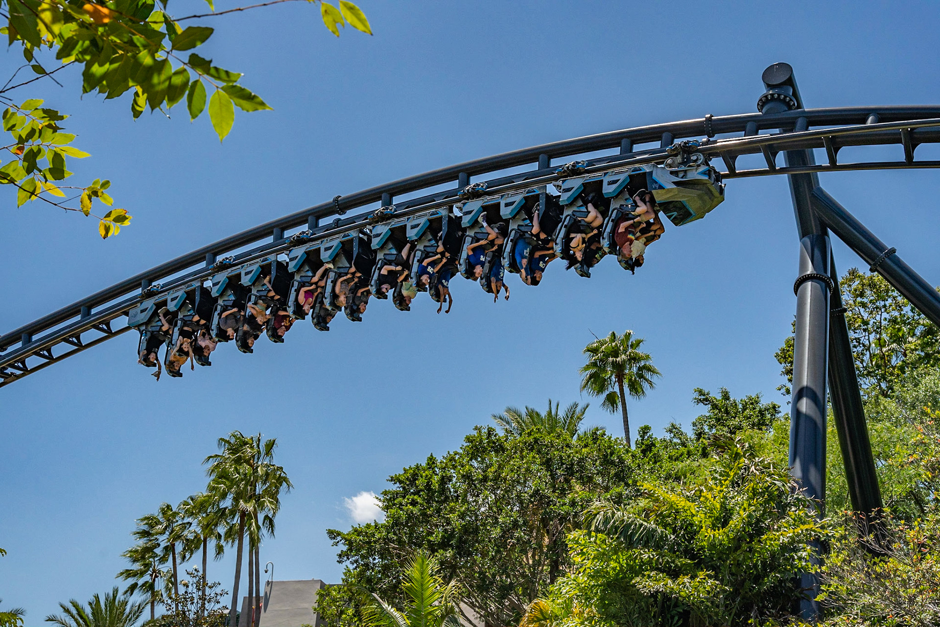 Photo by Jon Roost (www.jonroostphotos.com)