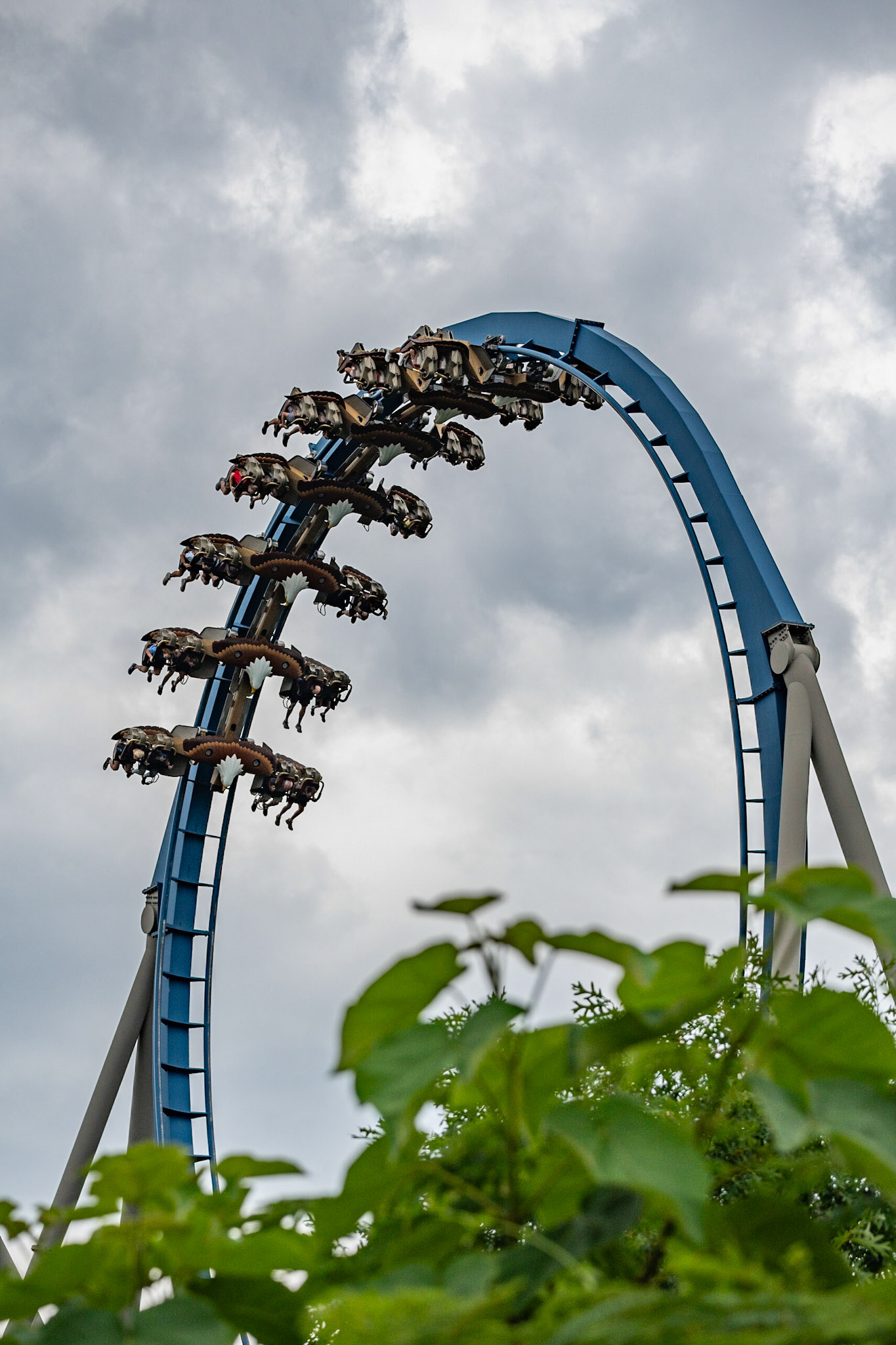 Photo by Jon Roost (www.jonroostphotos.com)