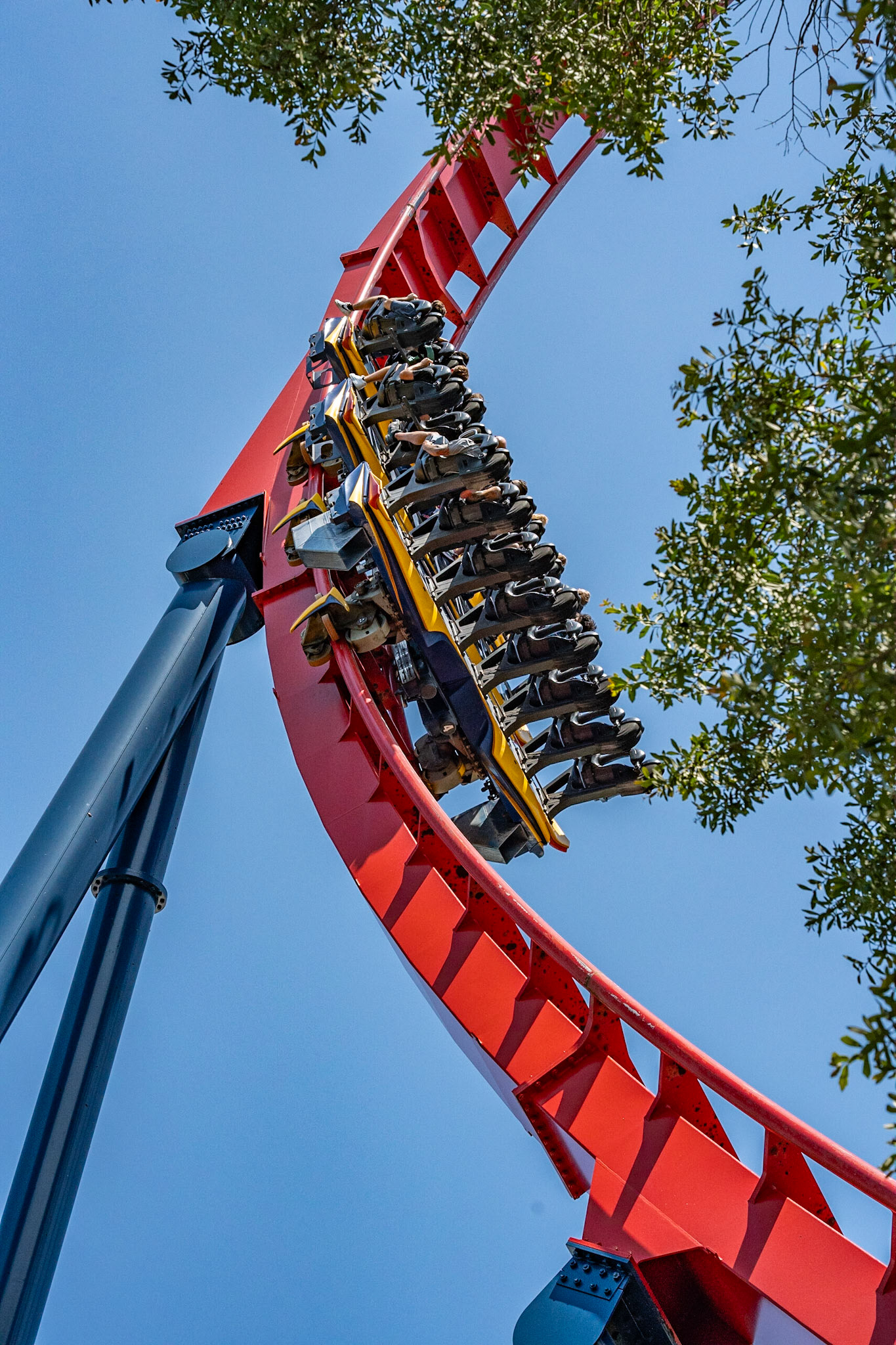 Photo by Jon Roost (www.jonroostphotos.com)