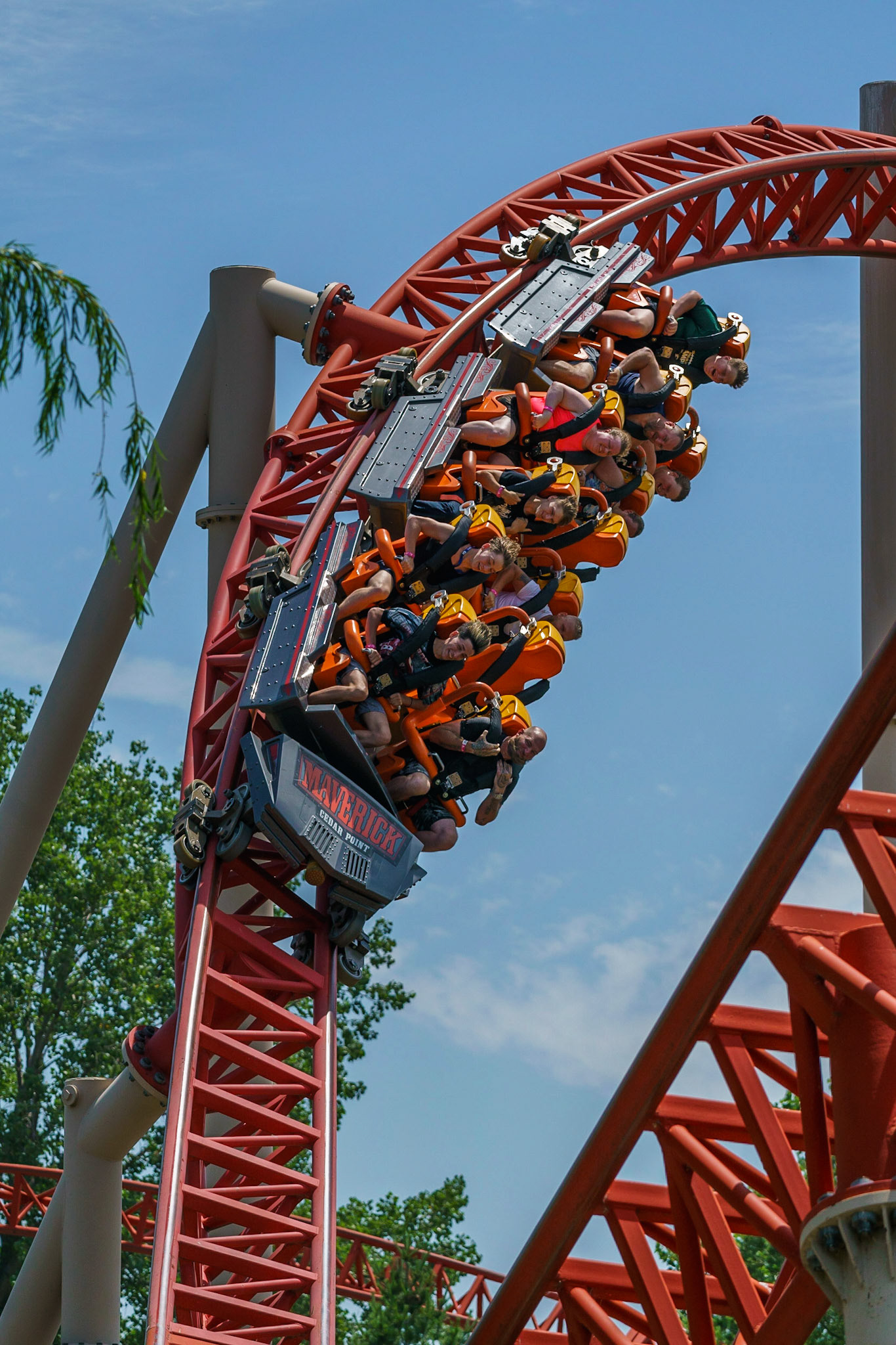 Photo by Jon Roost (www.jonroostphotos.com)