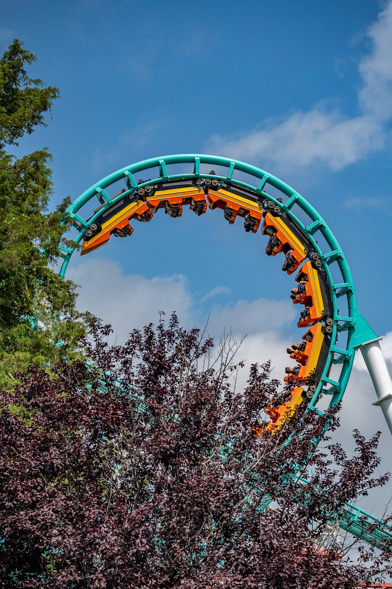 Photo by Jon Roost (www.jonroostphotos.com)