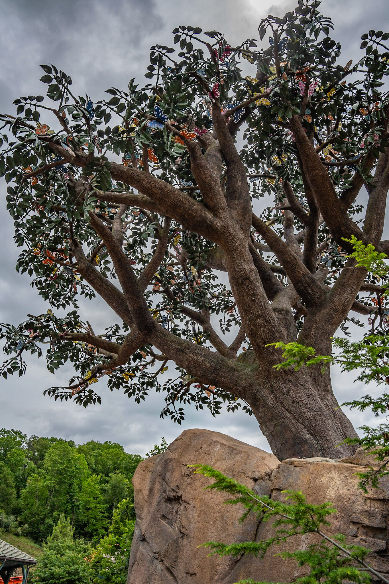 Photo by Jon Roost (www.jonroostphotos.com)
