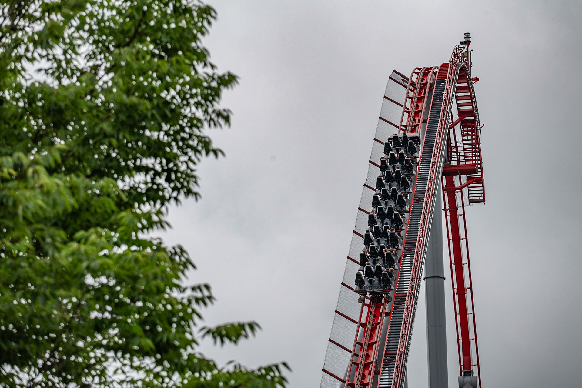 Photo by Jon Roost (www.jonroostphotos.com)