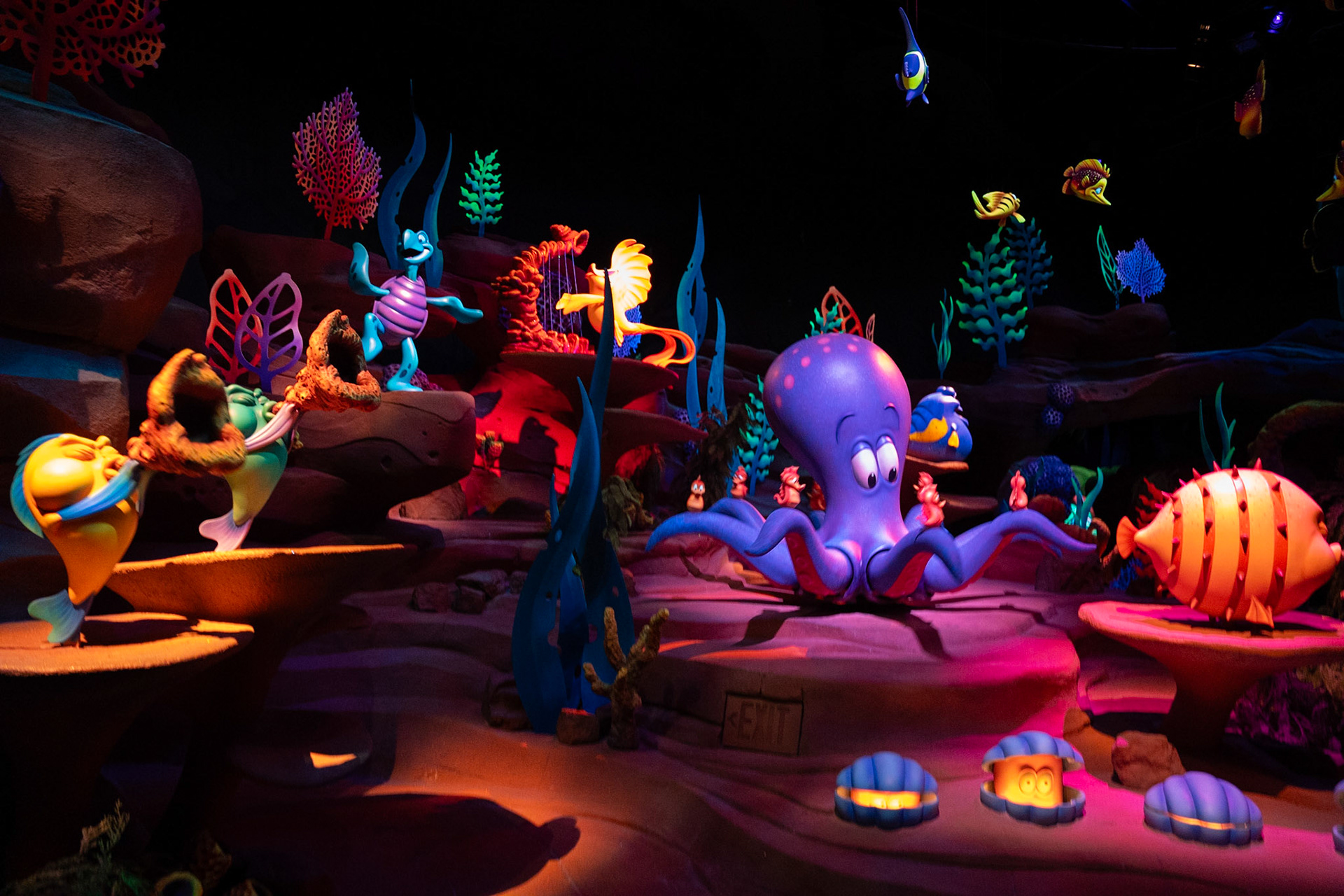 Photo by Jon Roost (www.jonroostphotos.com)