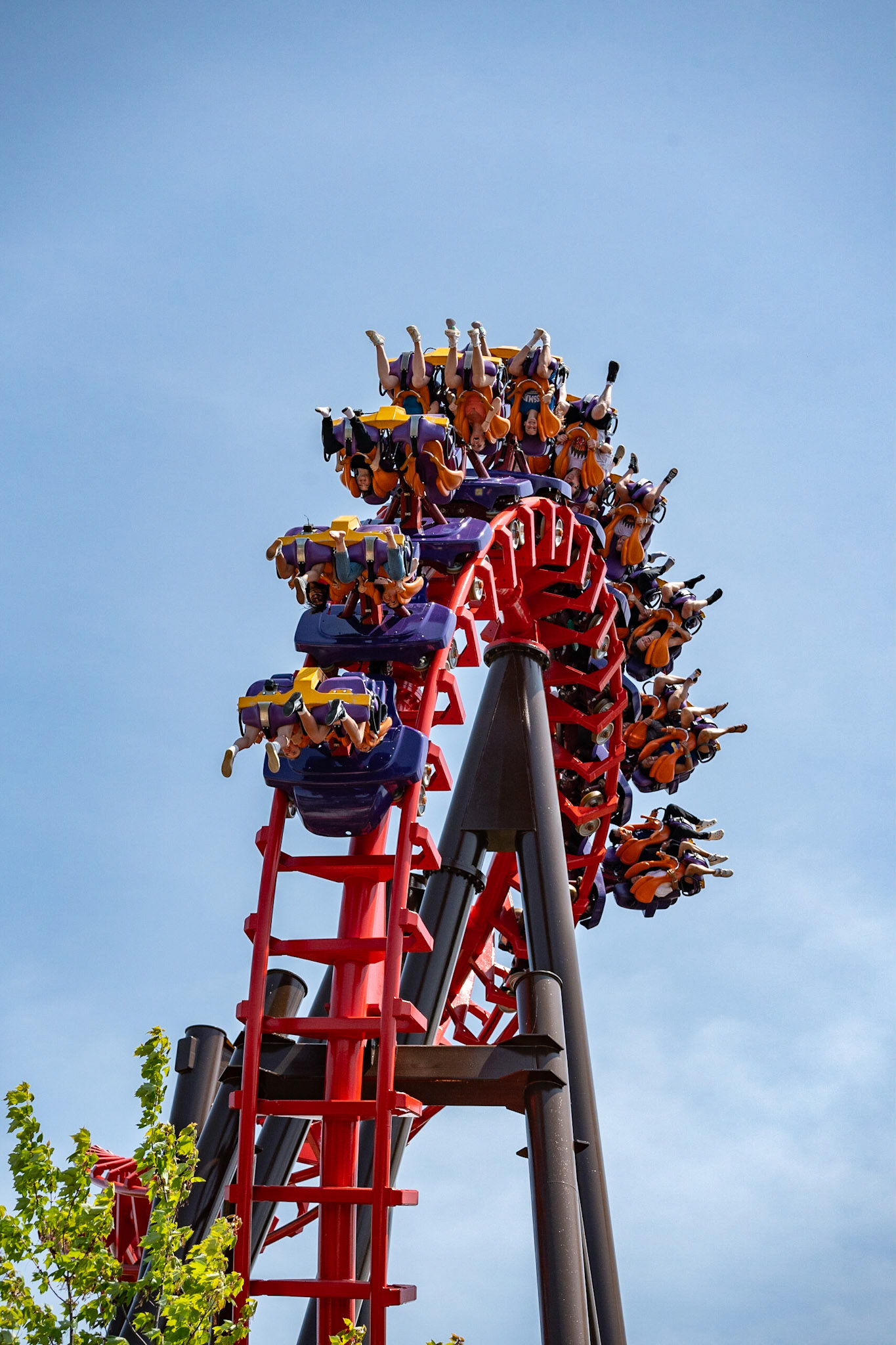 Photo by Jon Roost (www.jonroostphotos.com)