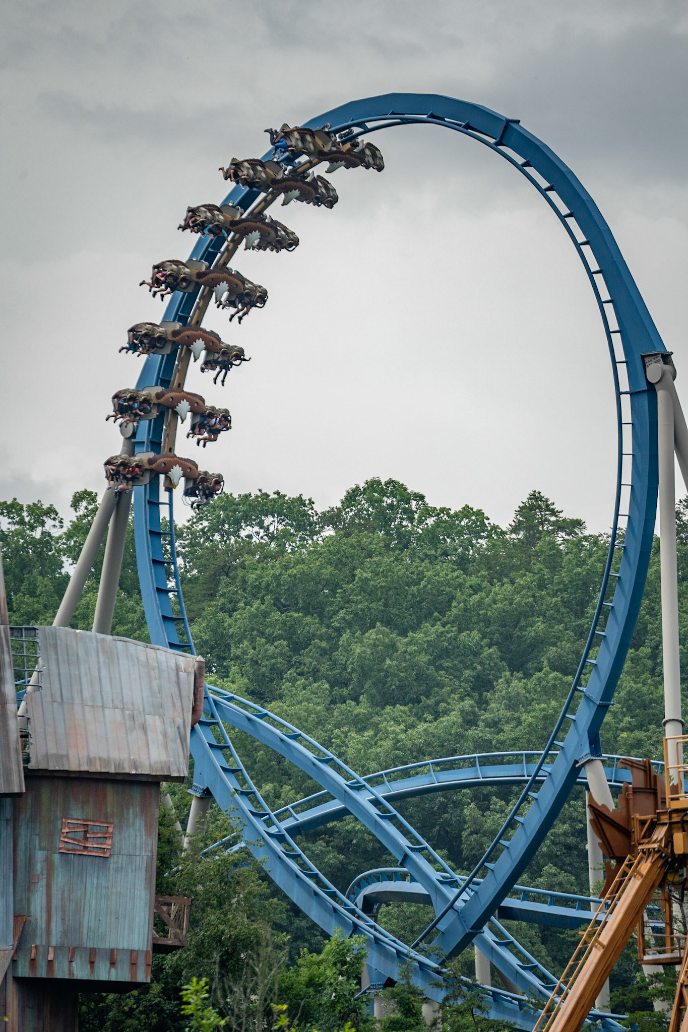 Photo by Jon Roost (www.jonroostphotos.com)