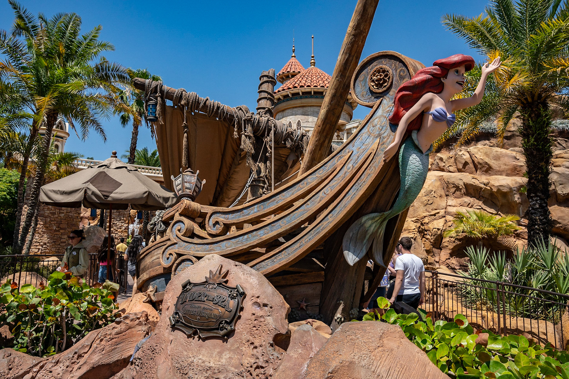 Photo by Jon Roost (www.jonroostphotos.com)