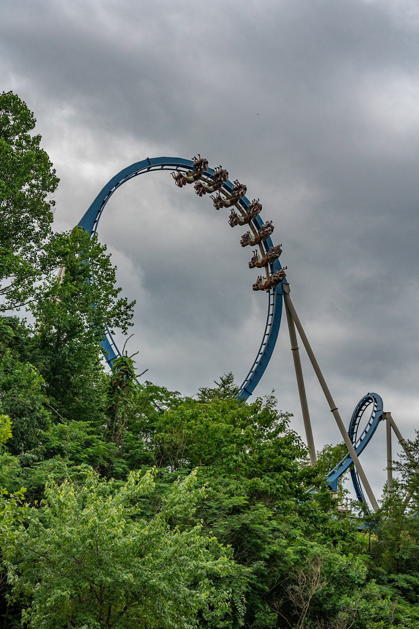 Photo by Jon Roost (www.jonroostphotos.com)