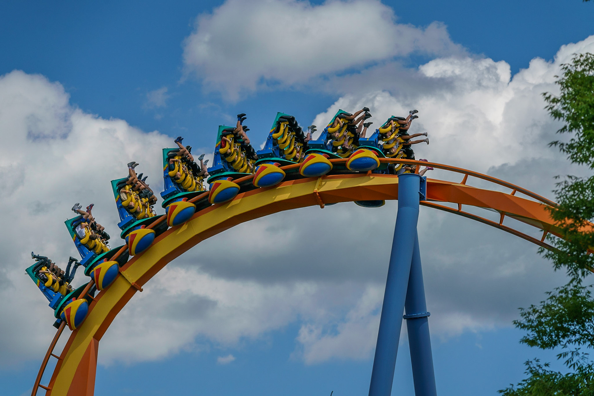 Photo by Jon Roost (www.jonroostphotos.com)