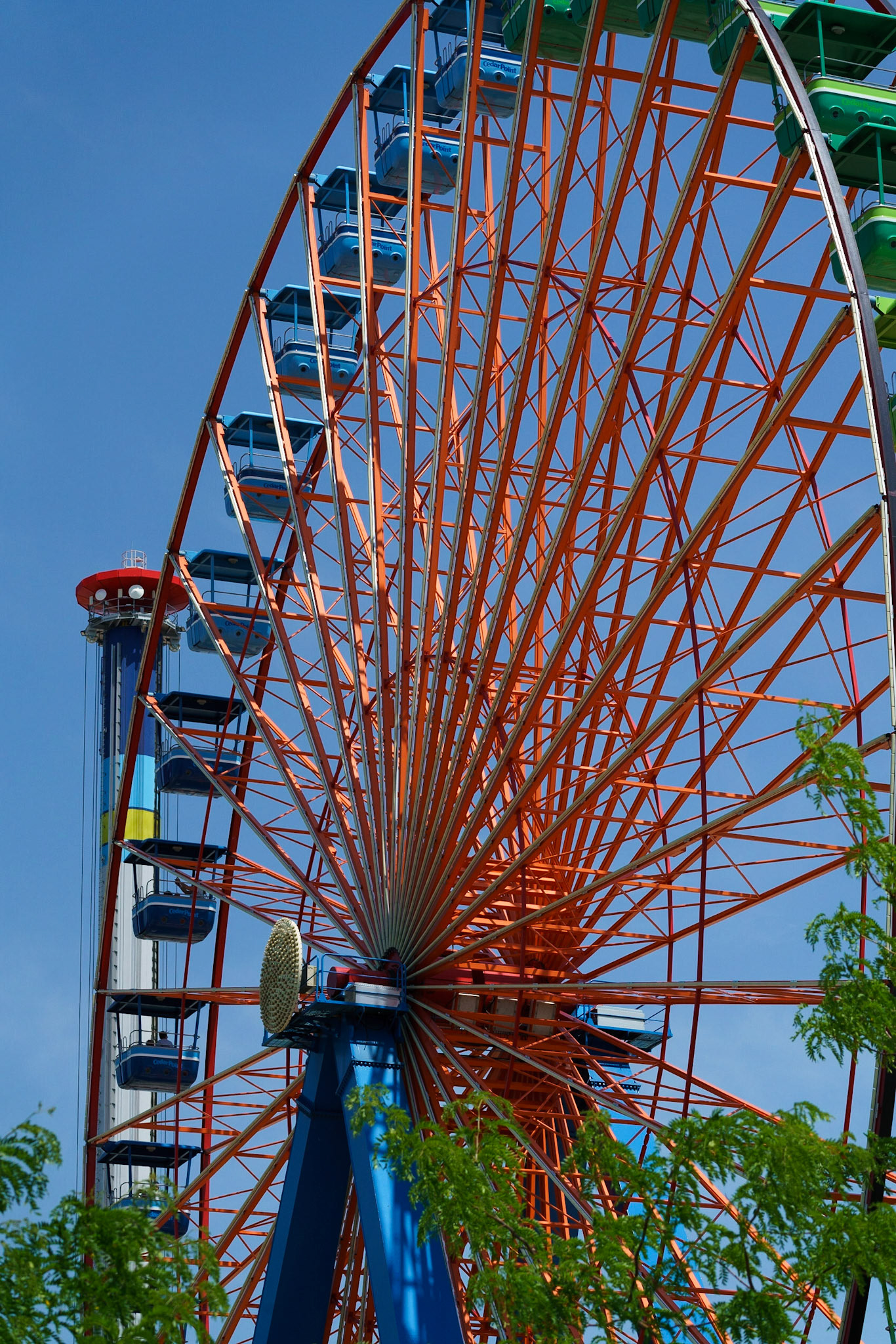 Photo by Jon Roost (www.jonroostphotos.com)