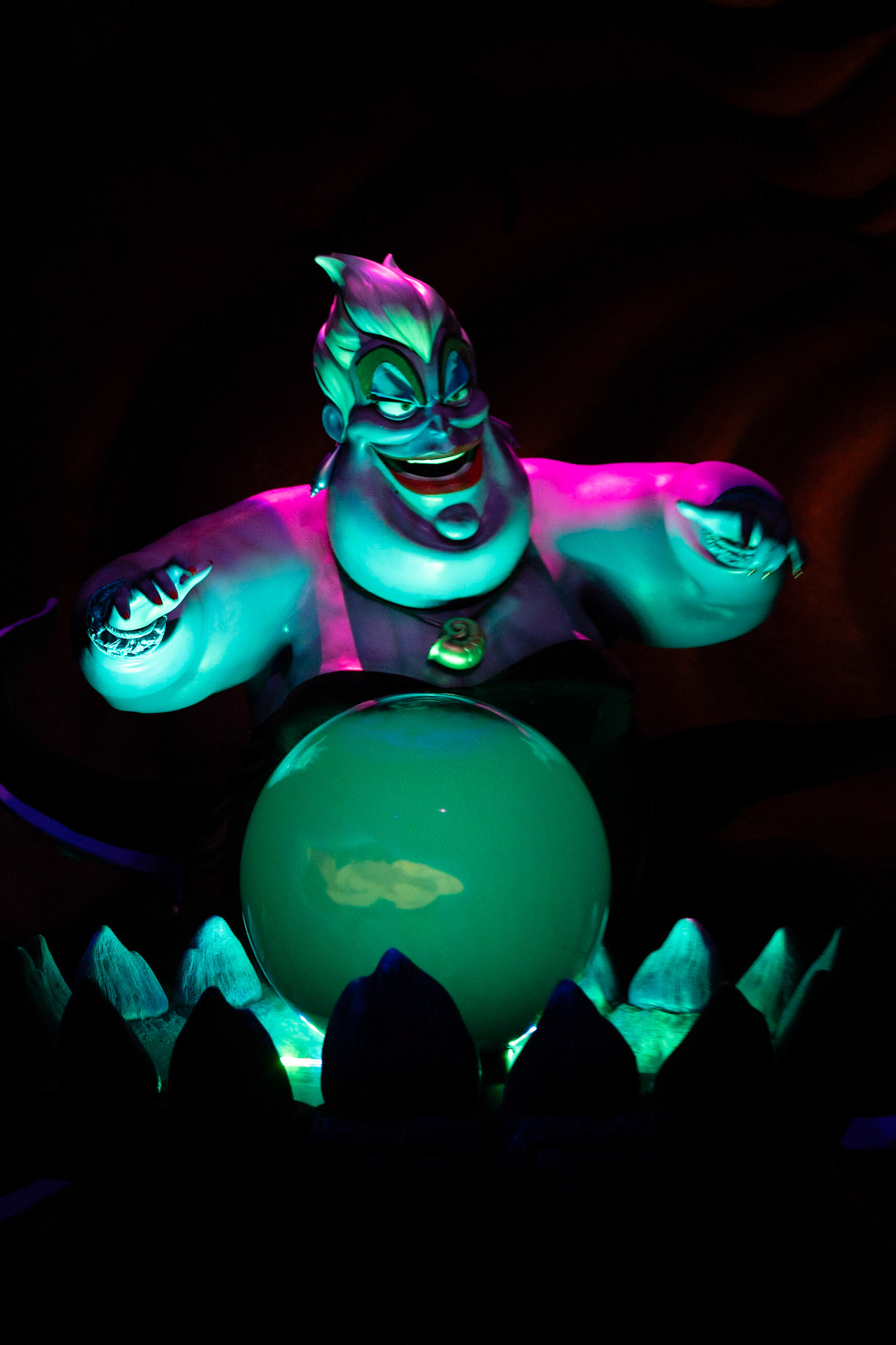 Photo by Jon Roost (www.jonroostphotos.com)