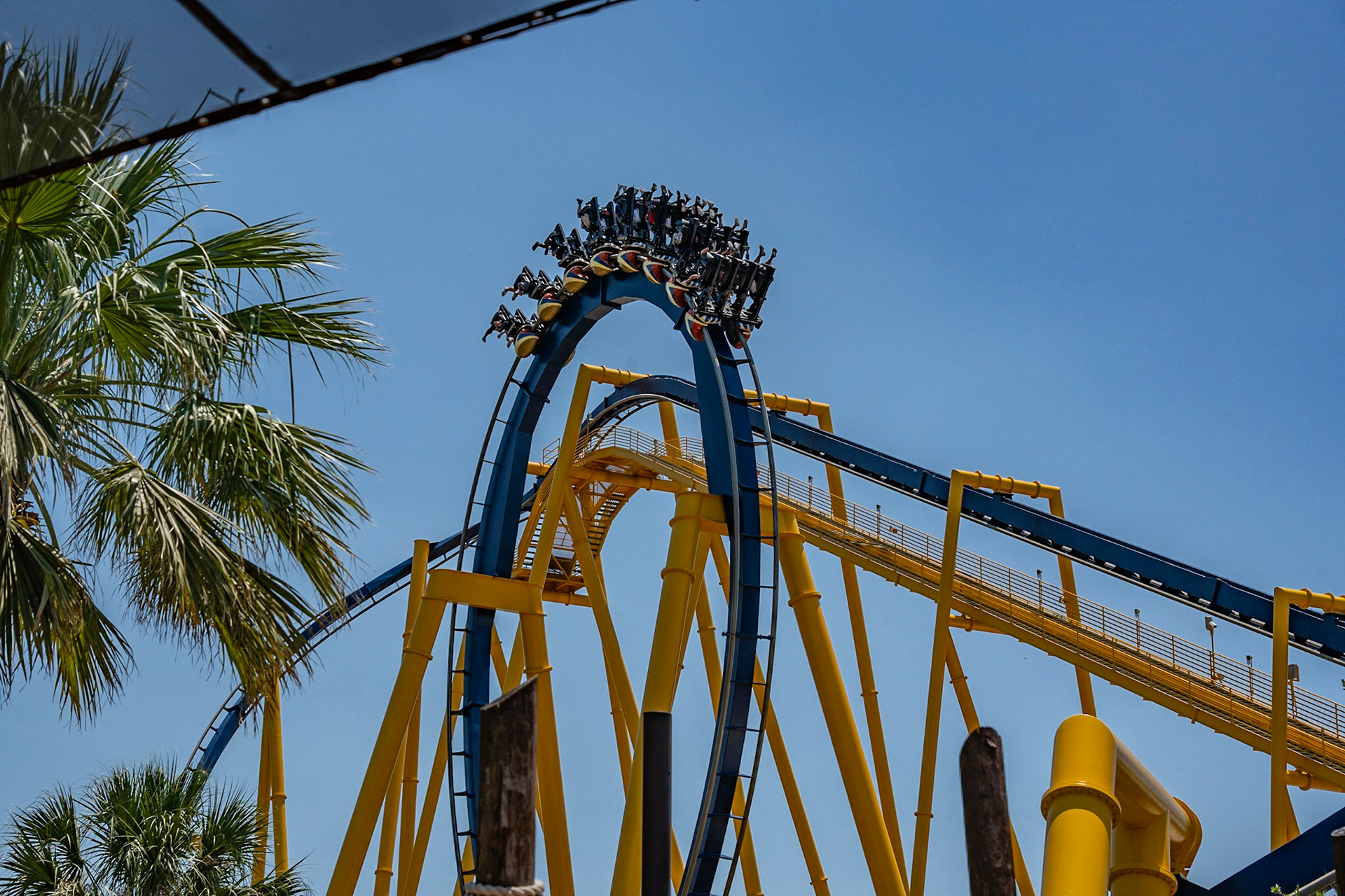 Photo by Jon Roost (www.jonroostphotos.com)