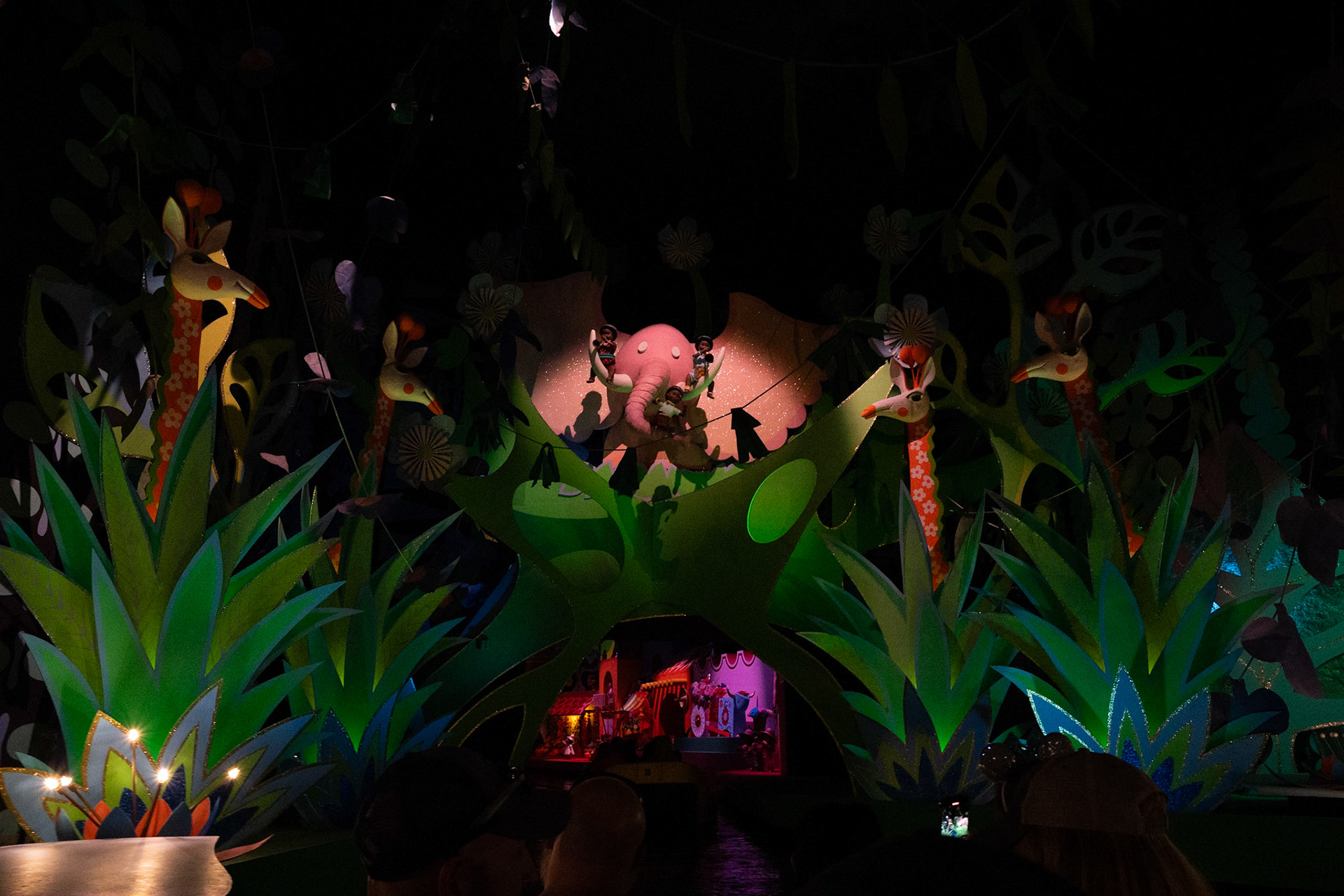 Photo by Jon Roost (www.jonroostphotos.com)