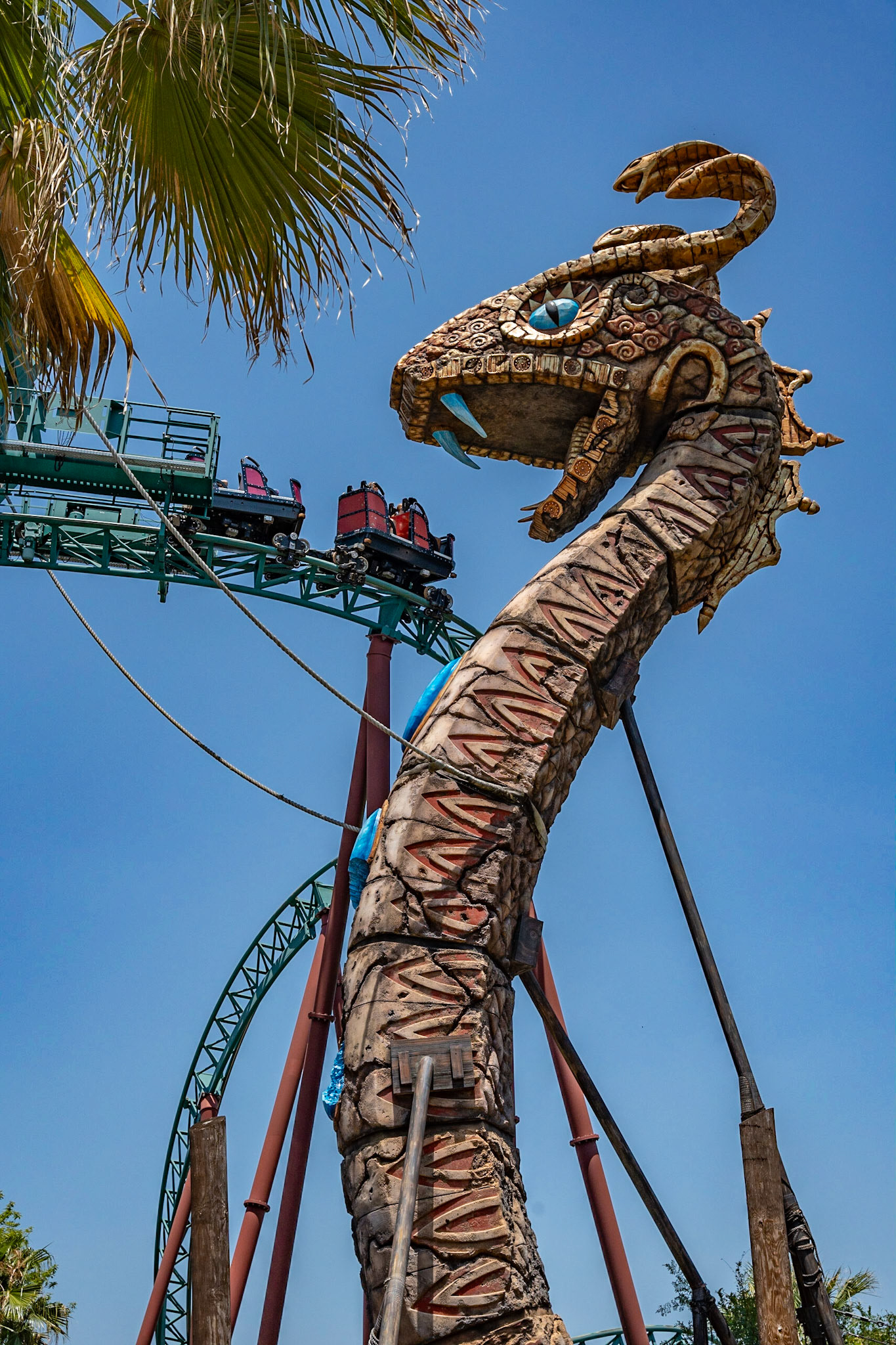 Photo by Jon Roost (www.jonroostphotos.com)