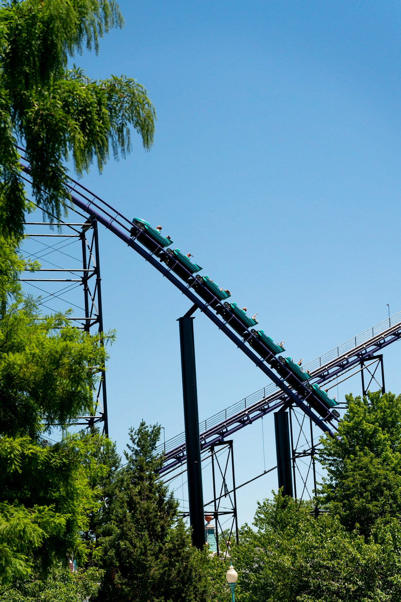 Photo by Jon Roost (www.jonroostphotos.com)