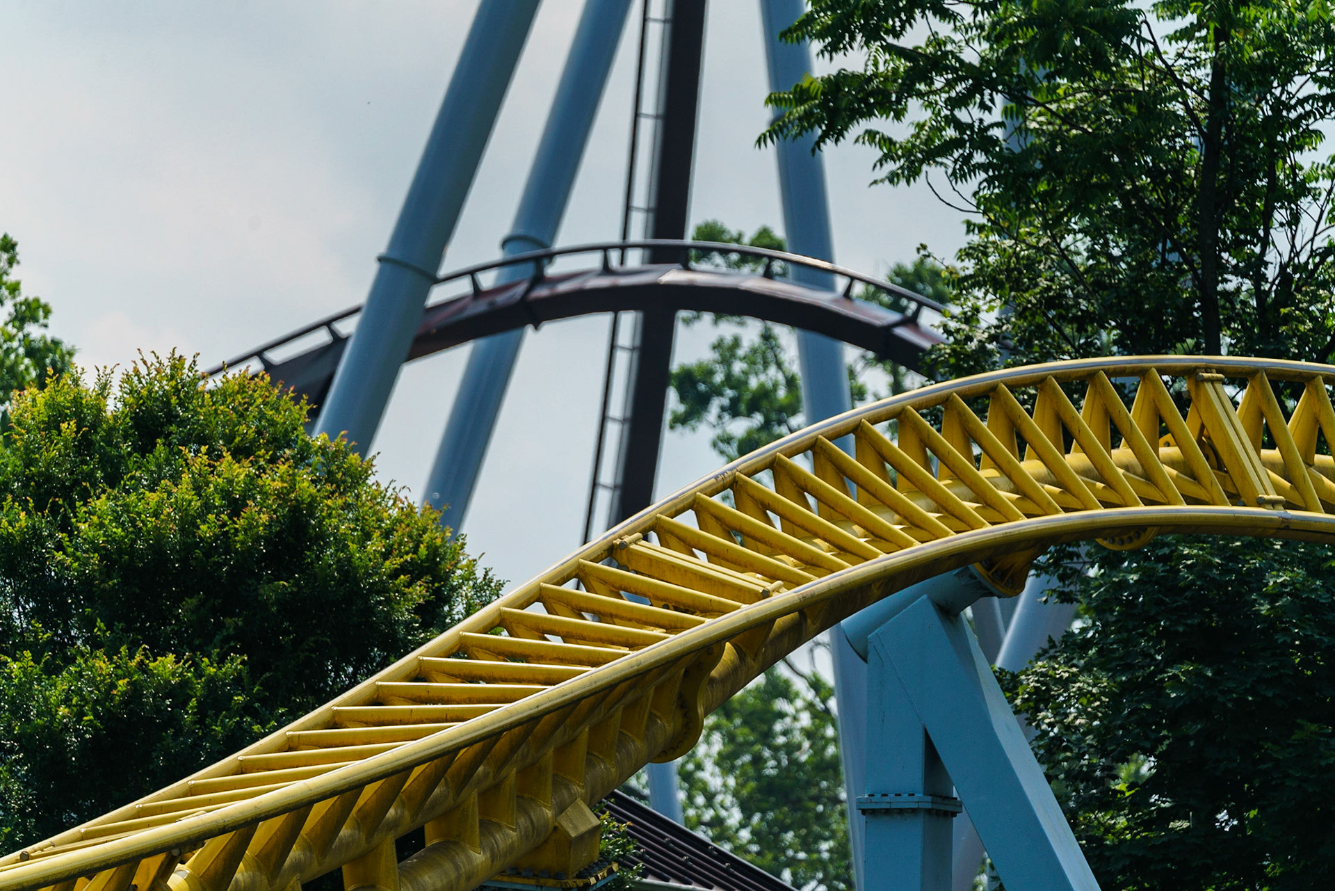 Photo by Jon Roost (www.jonroostphotos.com)