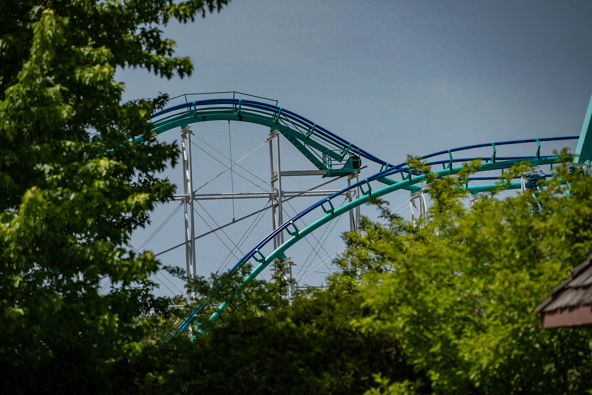 Photo by Jon Roost (www.jonroostphotos.com)