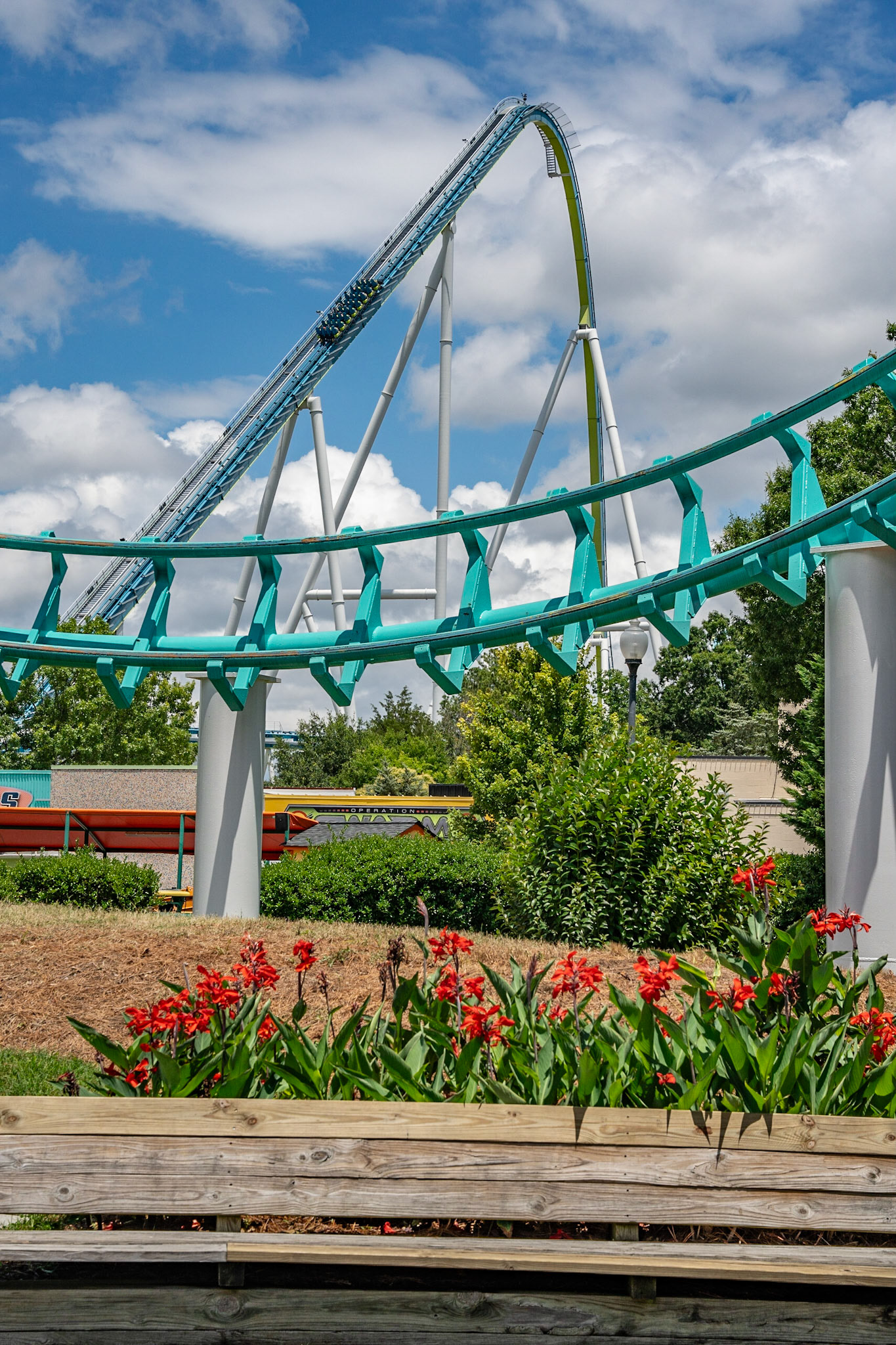 Photo by Jon Roost (www.jonroostphotos.com)