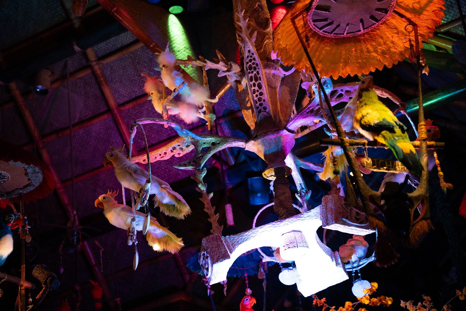 Photo by Jon Roost (www.jonroostphotos.com)