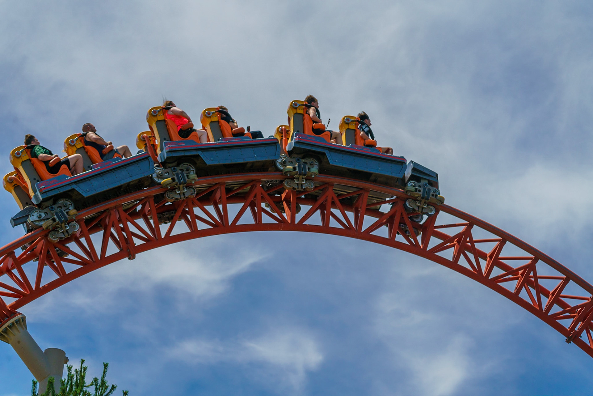 Photo by Jon Roost (www.jonroostphotos.com)