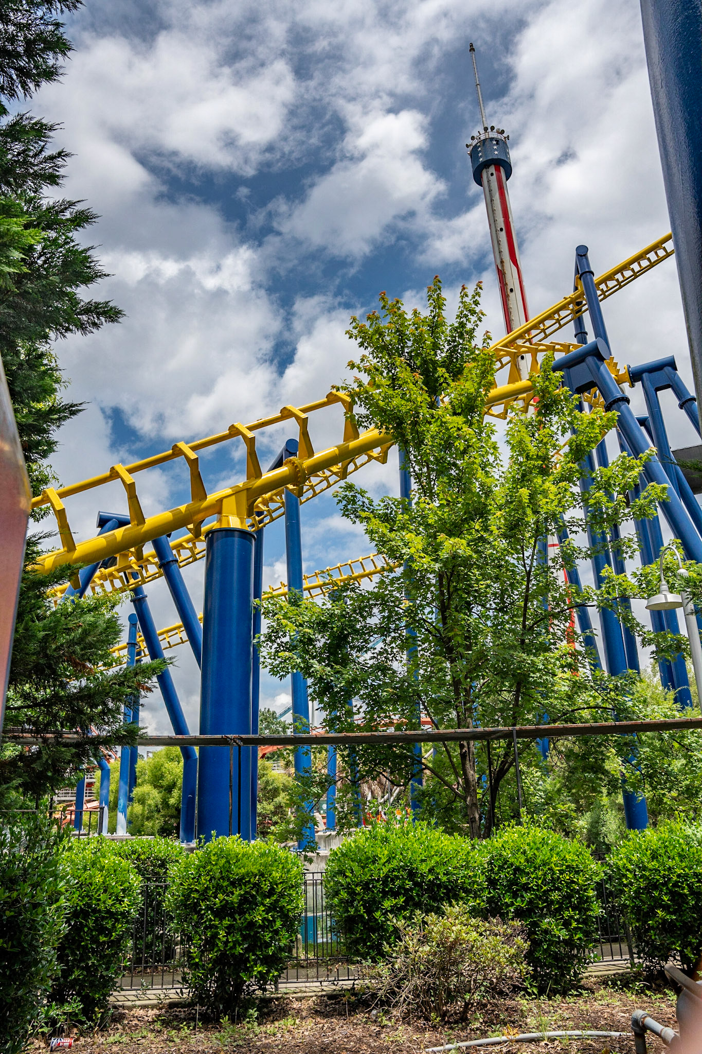 Photo by Jon Roost (www.jonroostphotos.com)