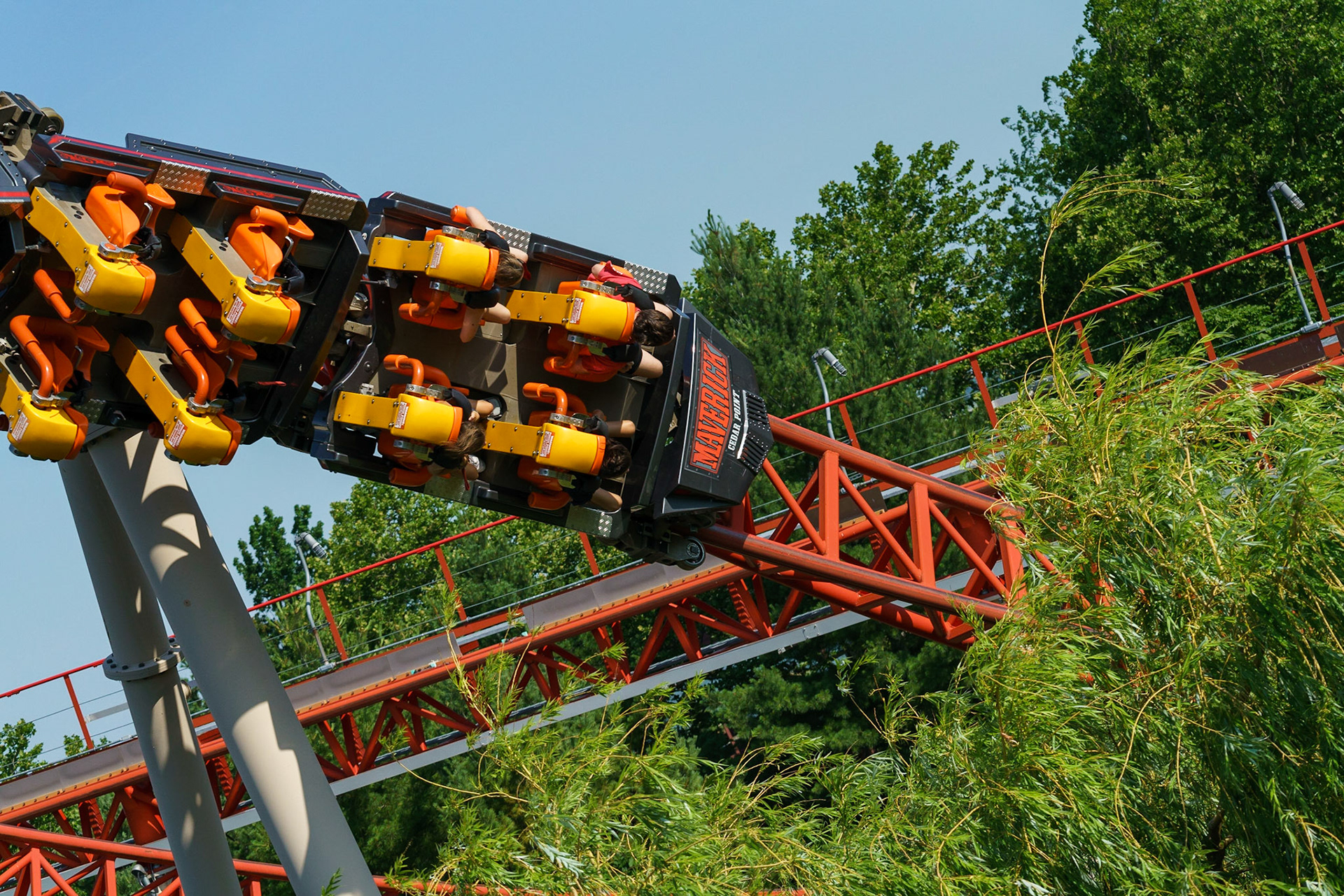 Photo by Jon Roost (www.jonroostphotos.com)