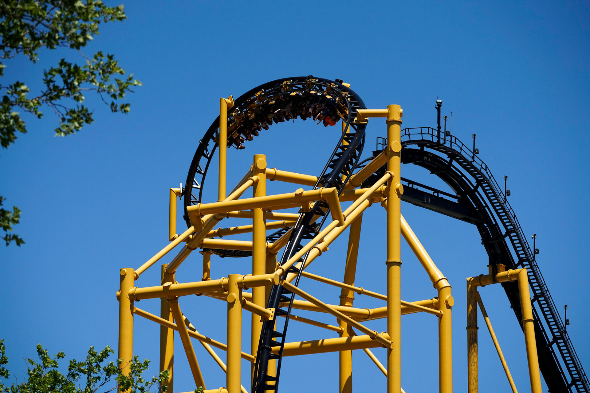 Photo by Jon Roost (www.jonroostphotos.com)