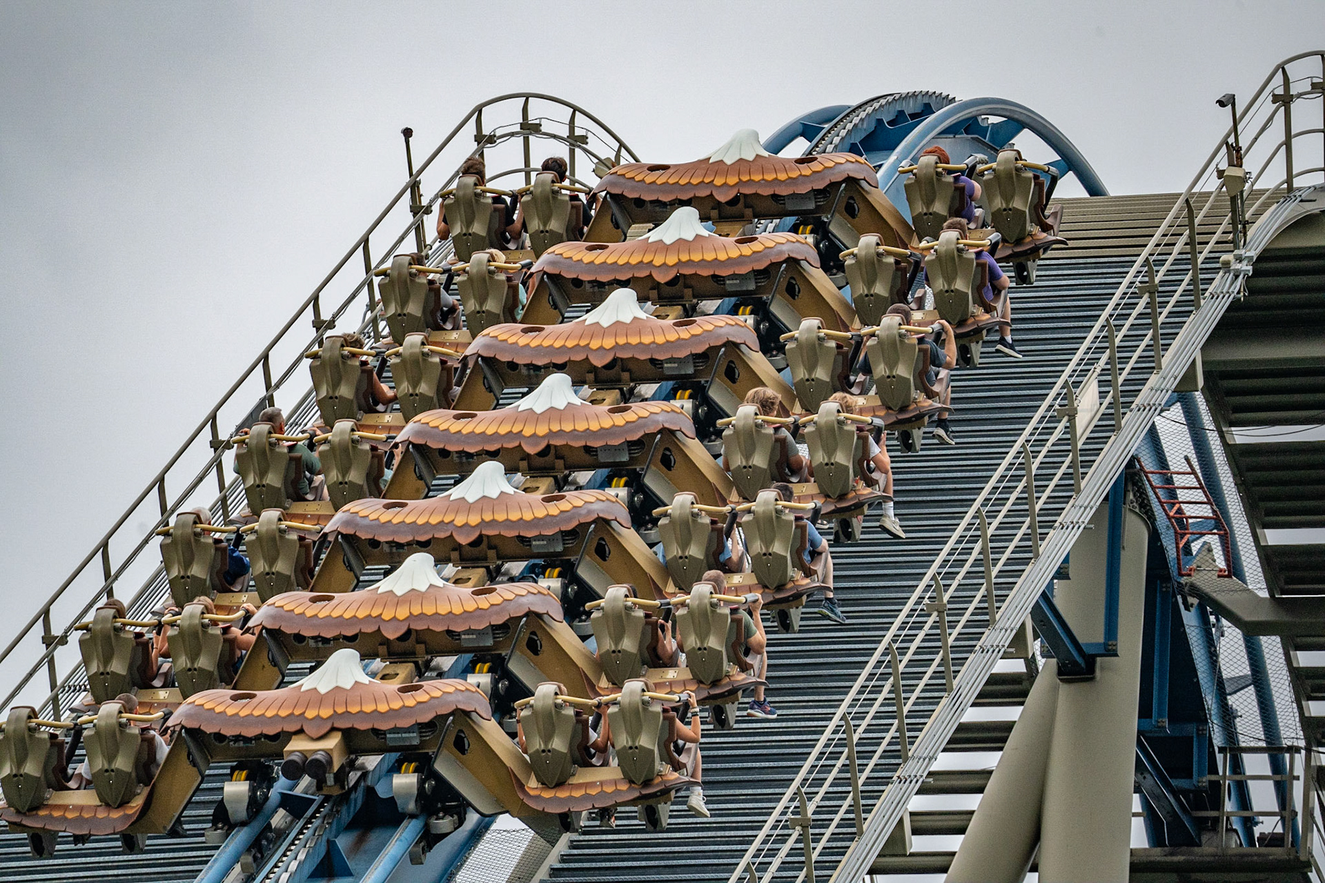 Photo by Jon Roost (www.jonroostphotos.com)