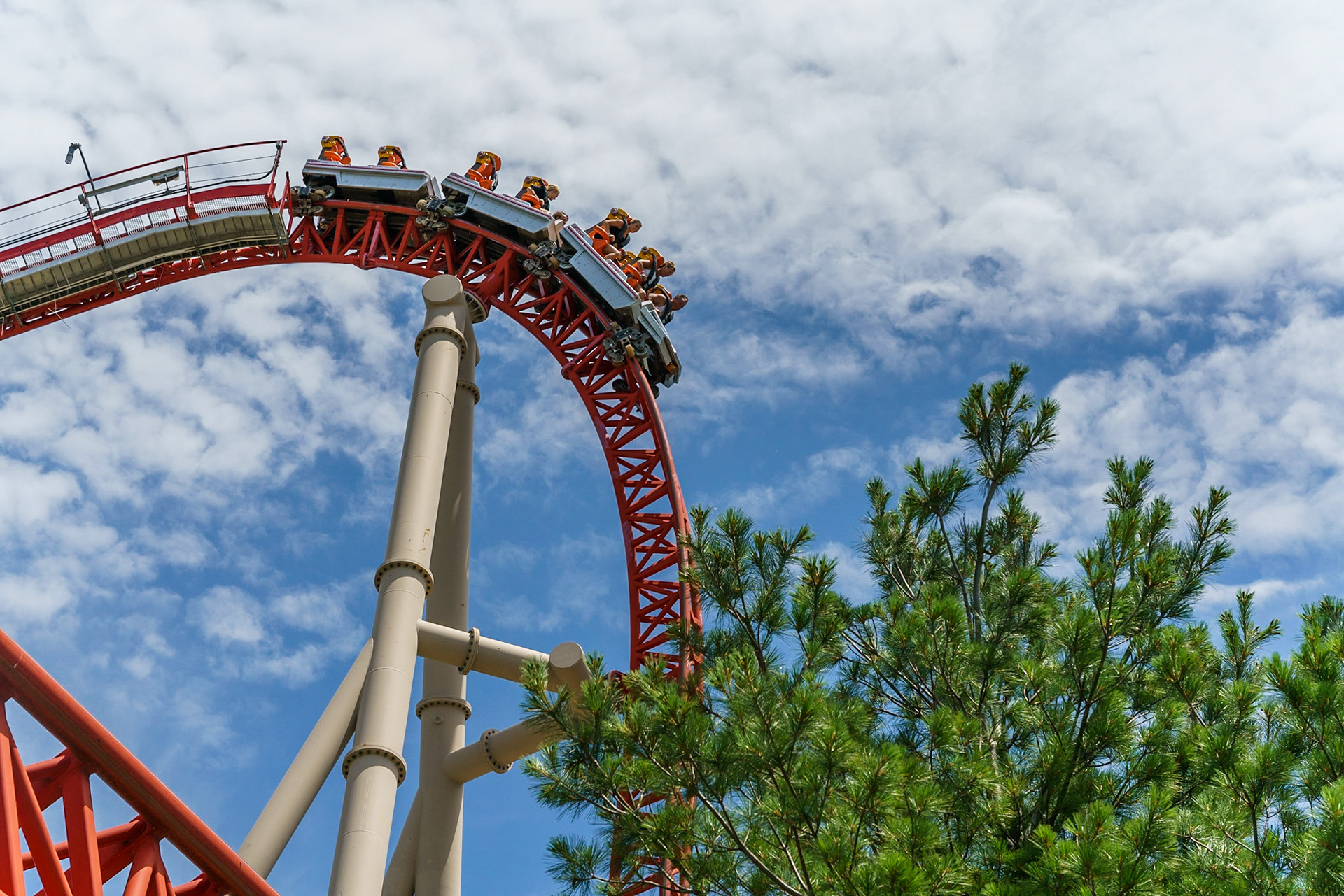 Photo by Jon Roost (www.jonroostphotos.com)
