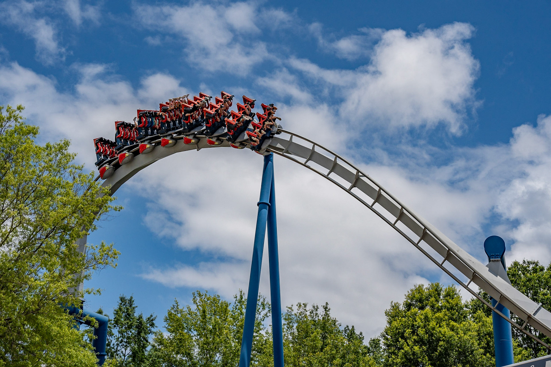 Photo by Jon Roost (www.jonroostphotos.com)