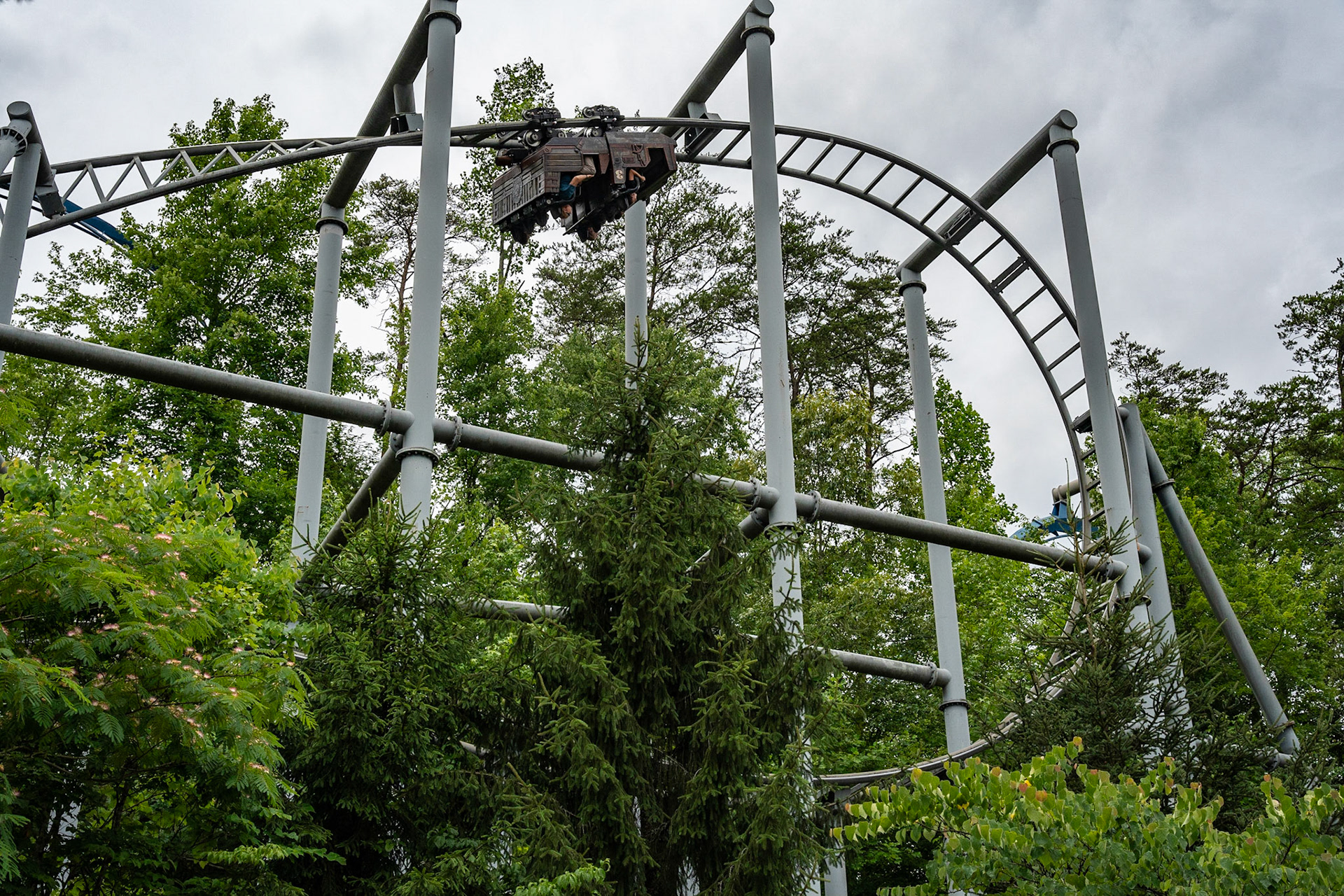 Photo by Jon Roost (www.jonroostphotos.com)