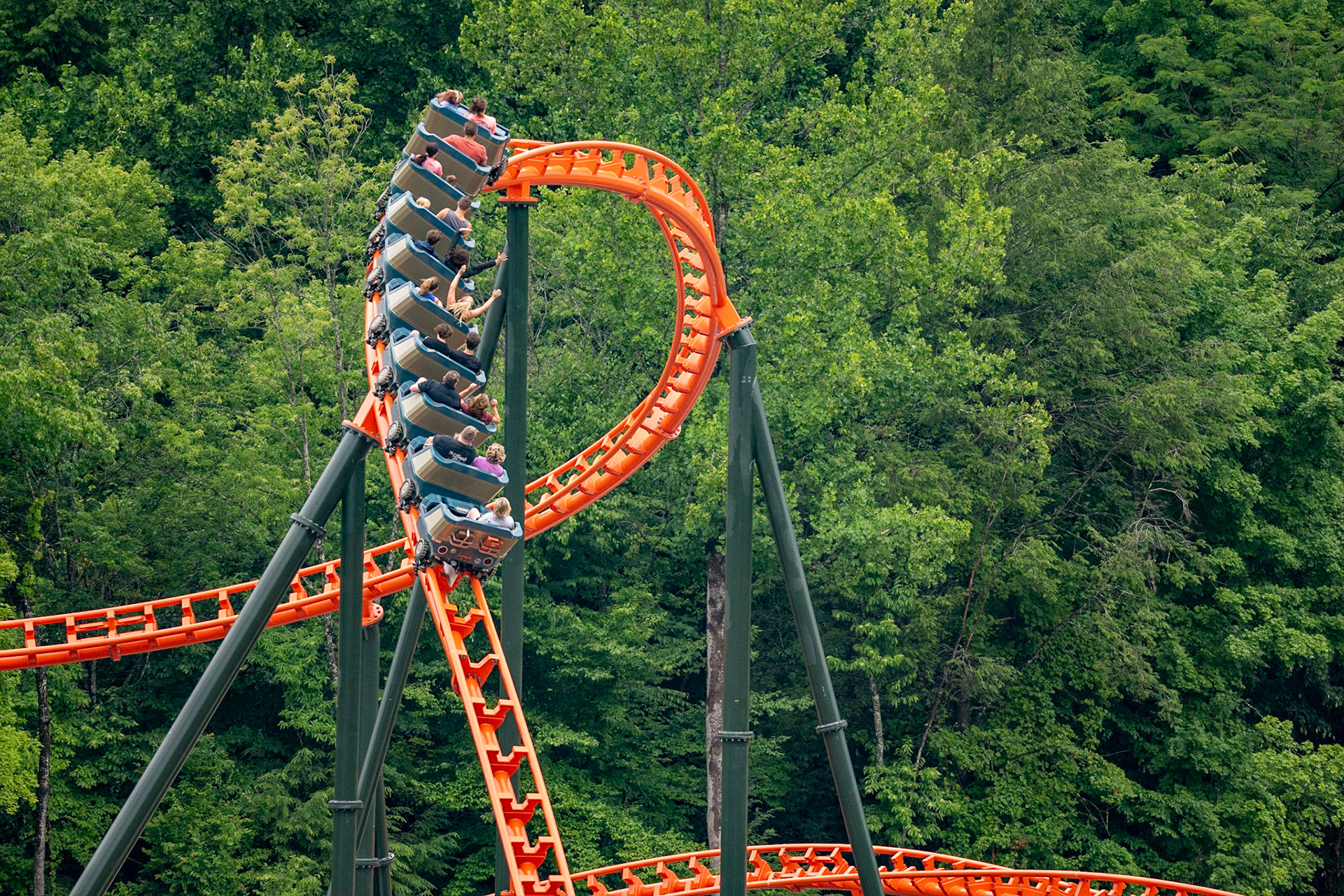 Photo by Jon Roost (www.jonroostphotos.com)