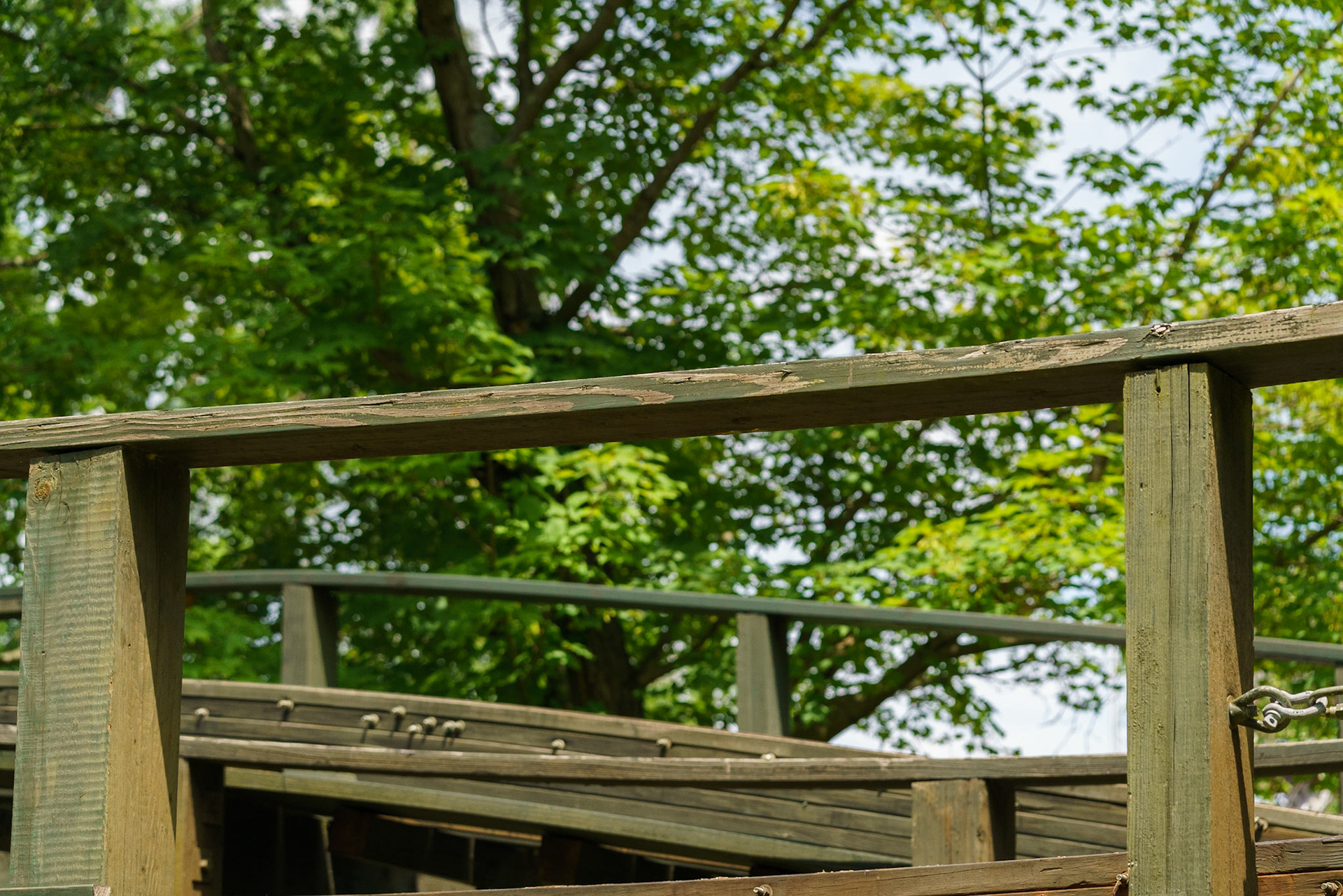 Photo by Jon Roost (www.jonroostphotos.com)