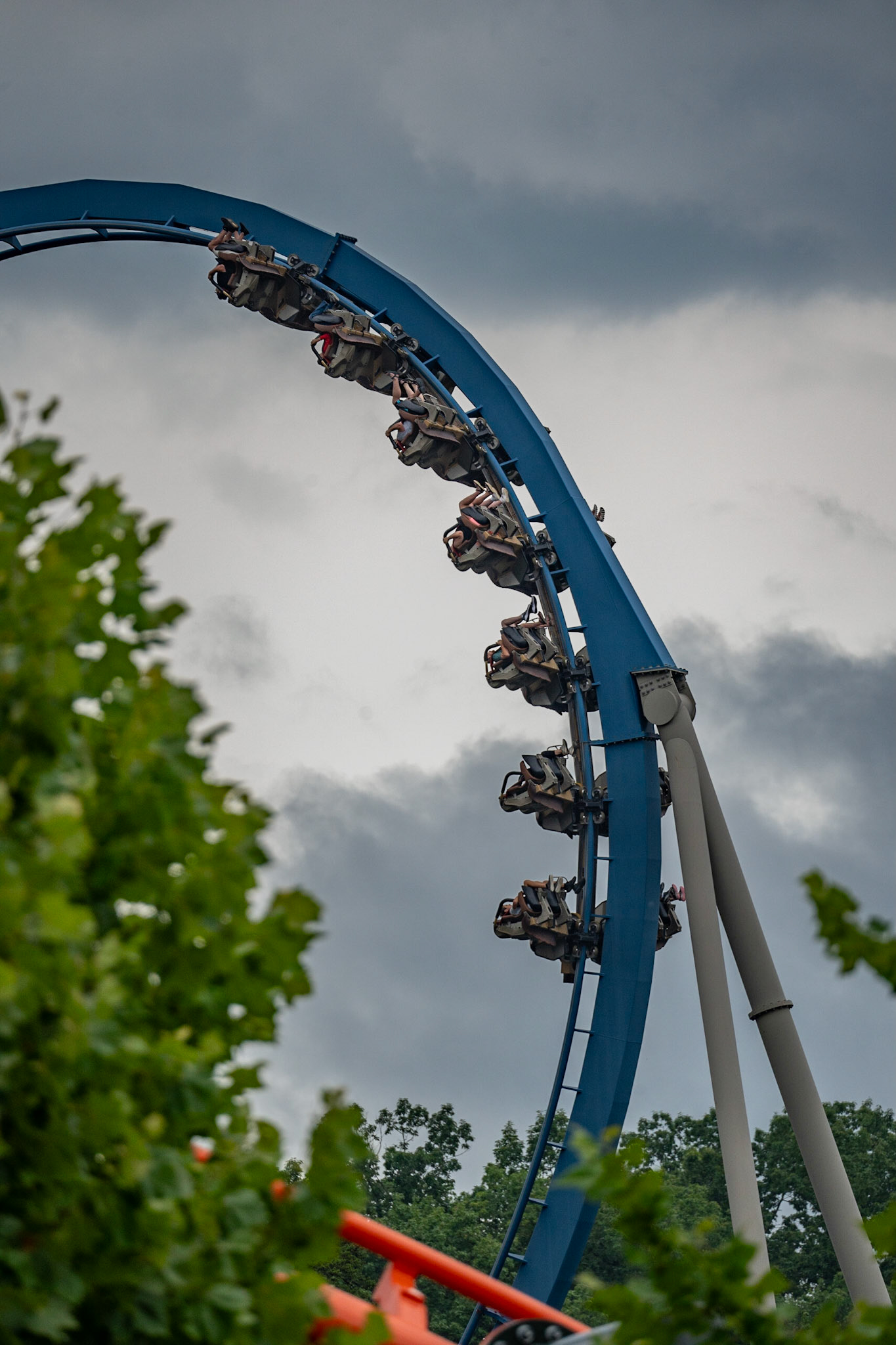 Photo by Jon Roost (www.jonroostphotos.com)