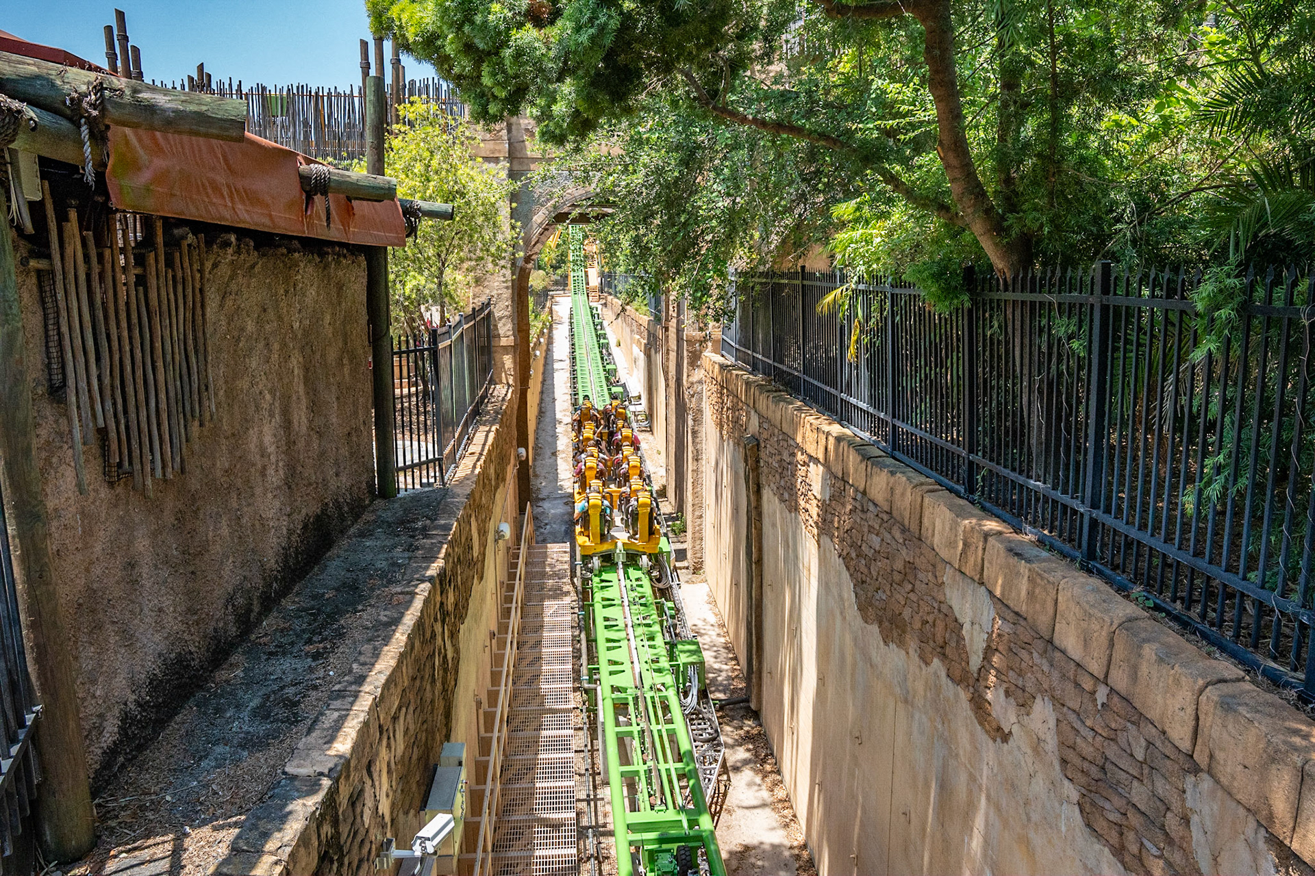 Photo by Jon Roost (www.jonroostphotos.com)