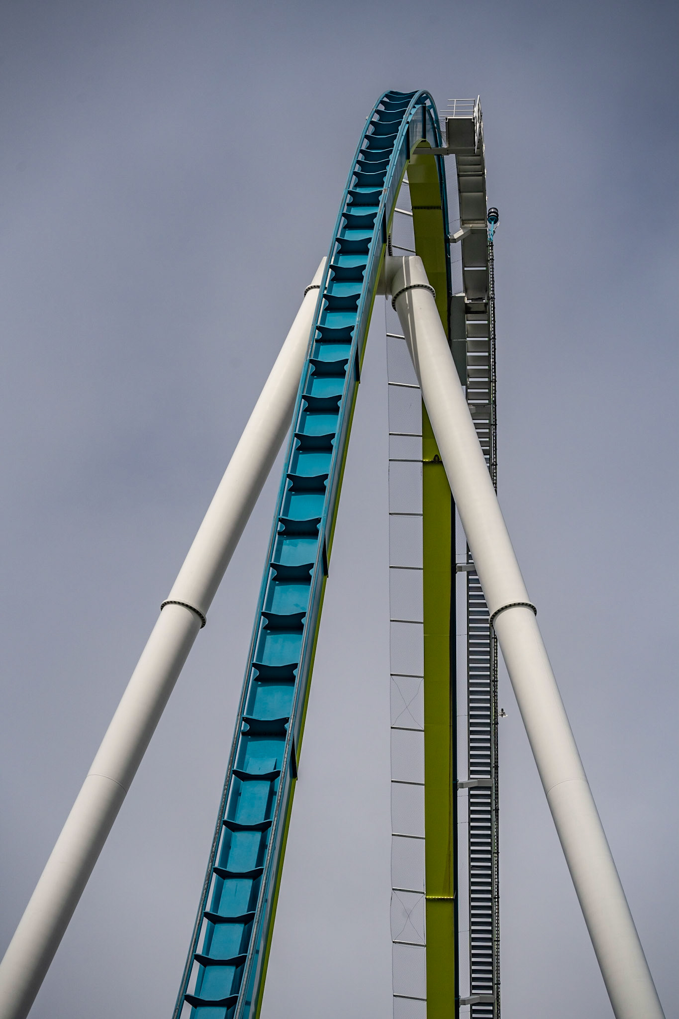 Photo by Jon Roost (www.jonroostphotos.com)