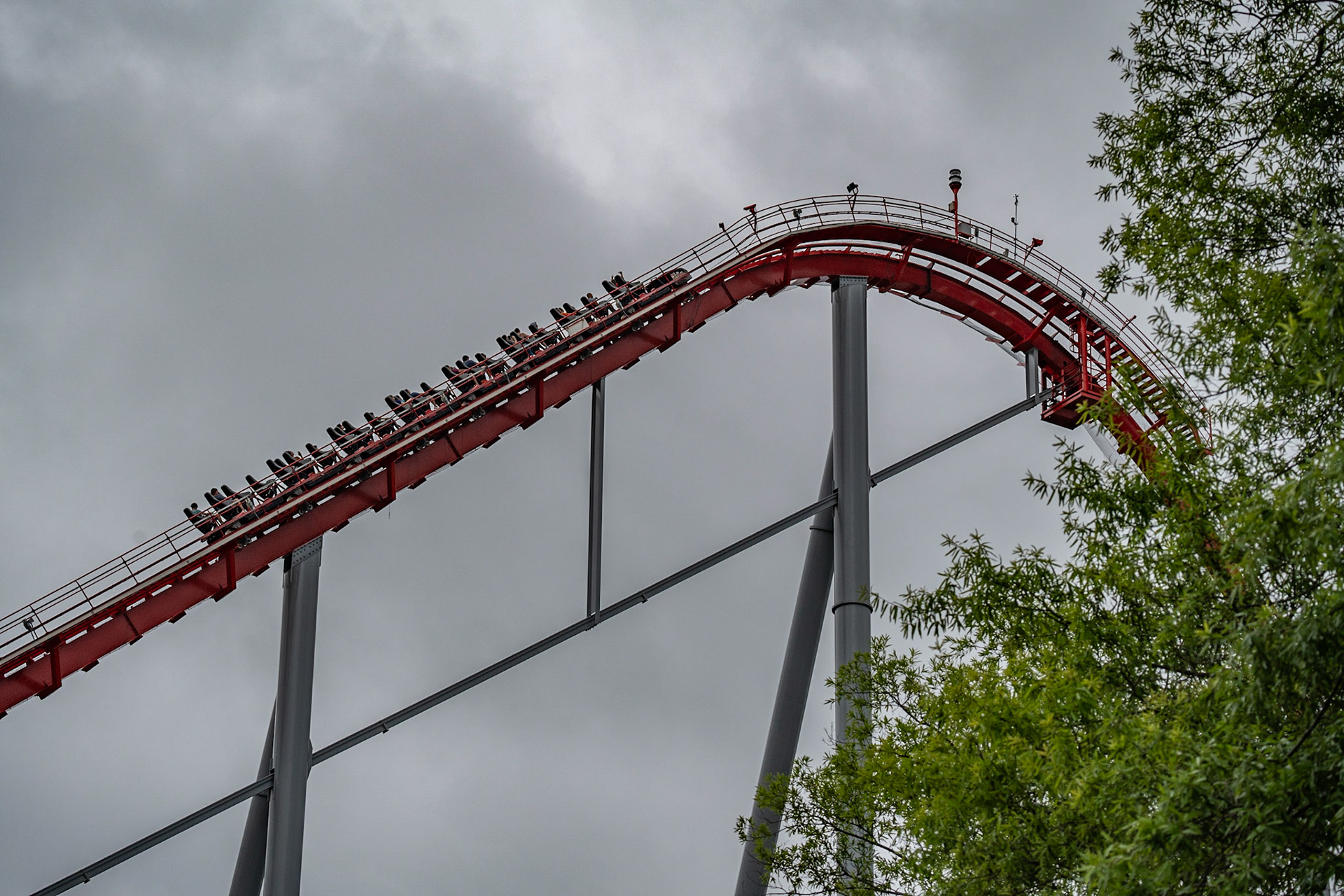 Photo by Jon Roost (www.jonroostphotos.com)