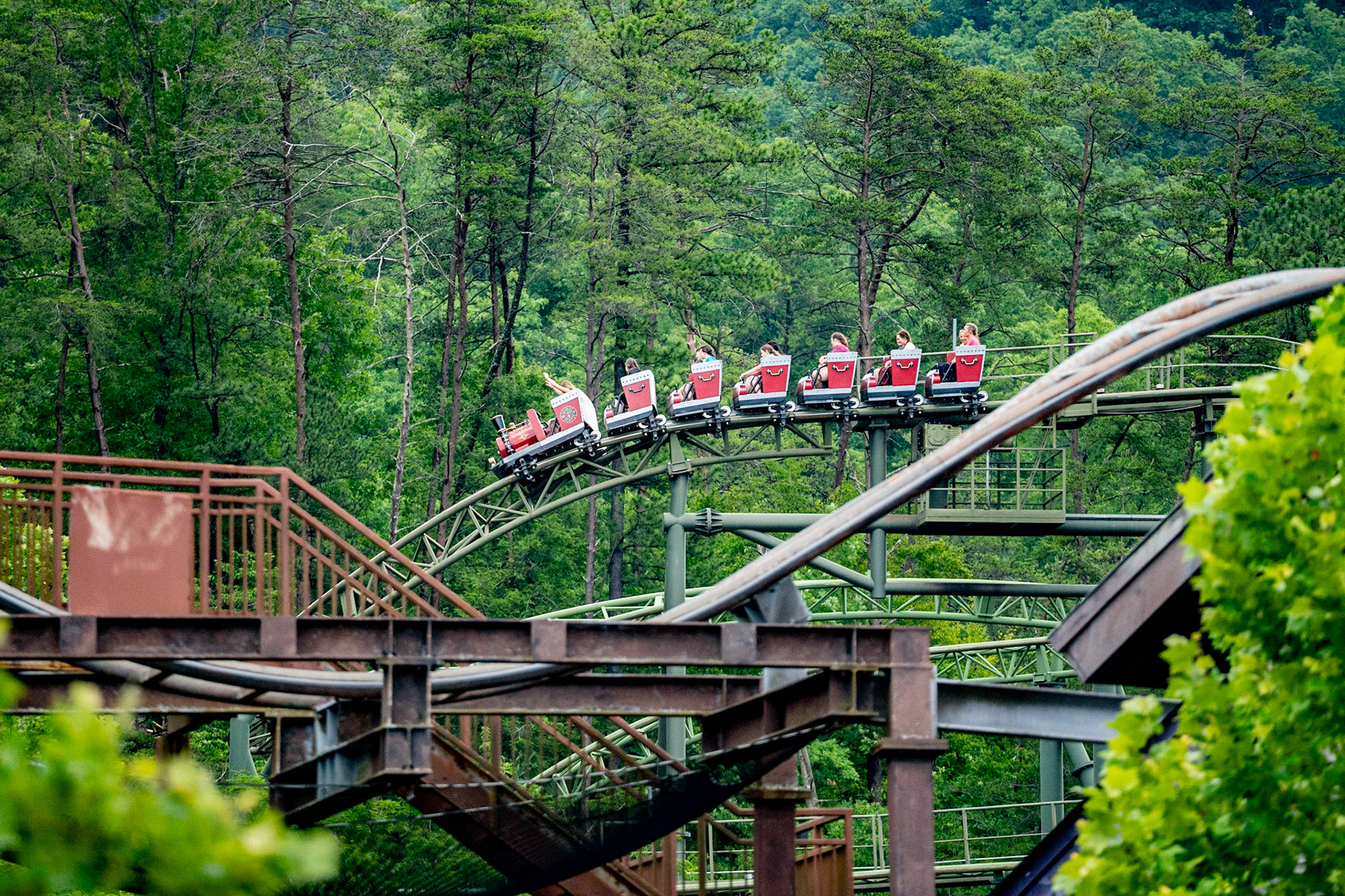 Photo by Jon Roost (www.jonroostphotos.com)