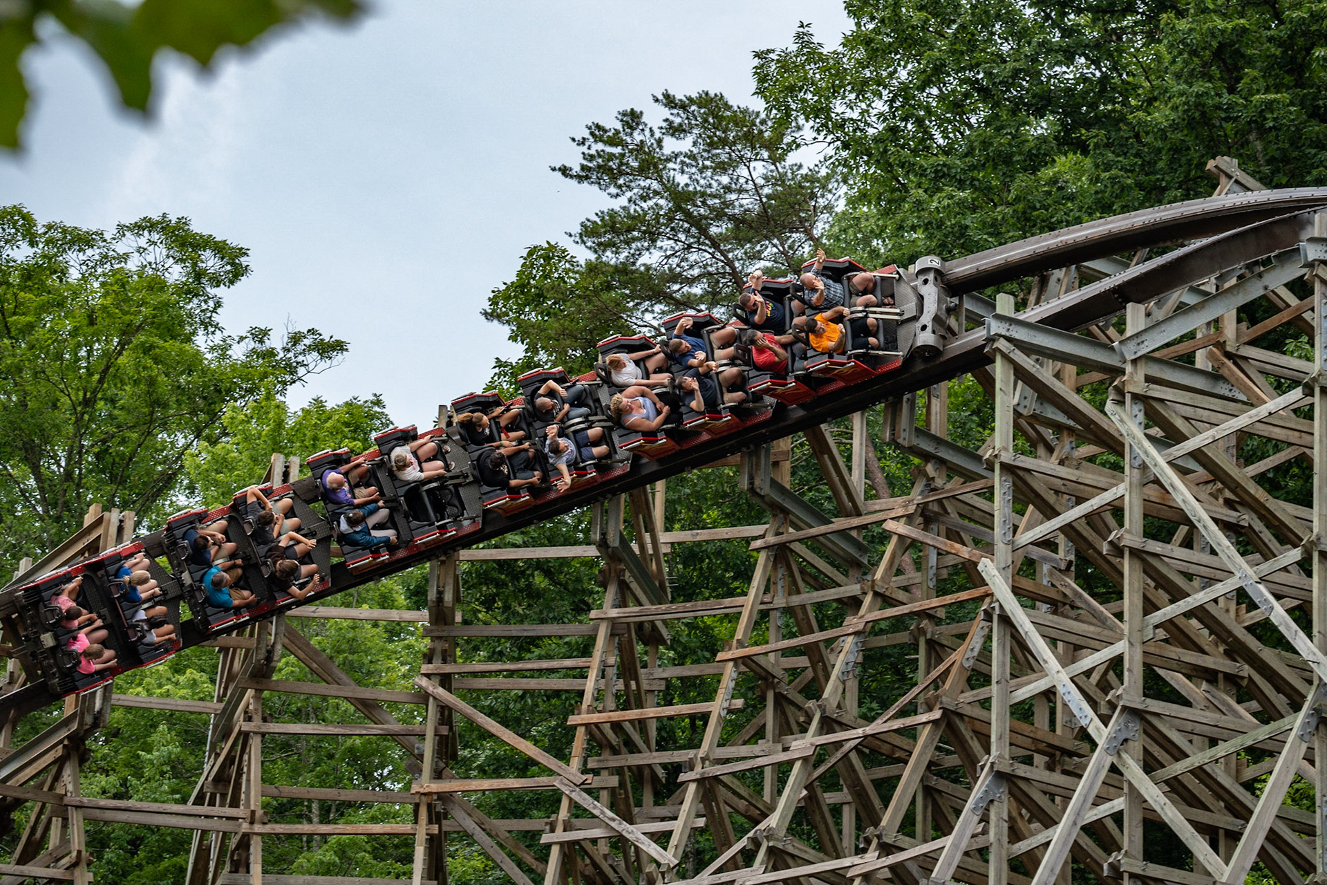 Photo by Jon Roost (www.jonroostphotos.com)