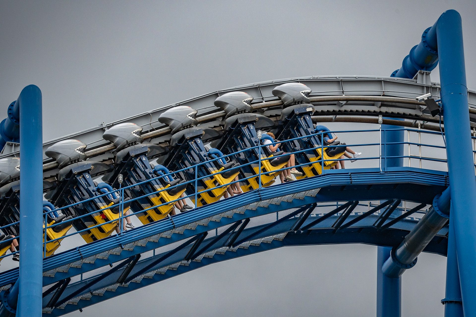 Photo by Jon Roost (www.jonroostphotos.com)