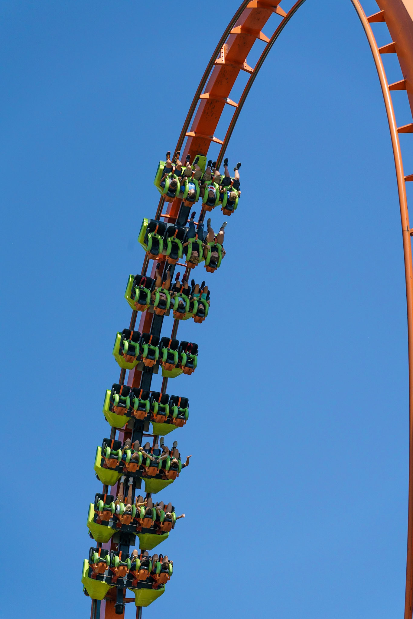 Photo by Jon Roost (www.jonroostphotos.com)