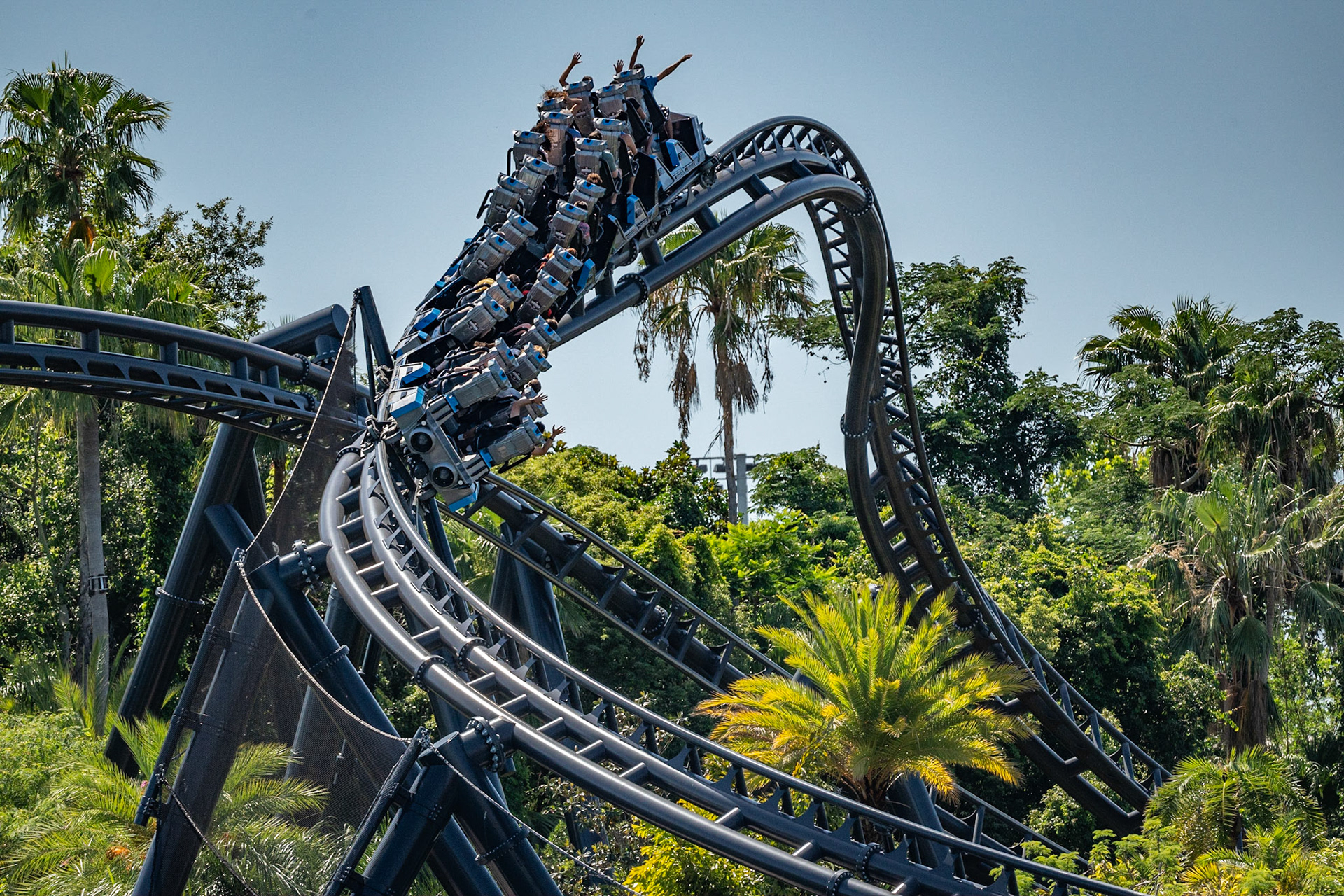 Photo by Jon Roost (www.jonroostphotos.com)