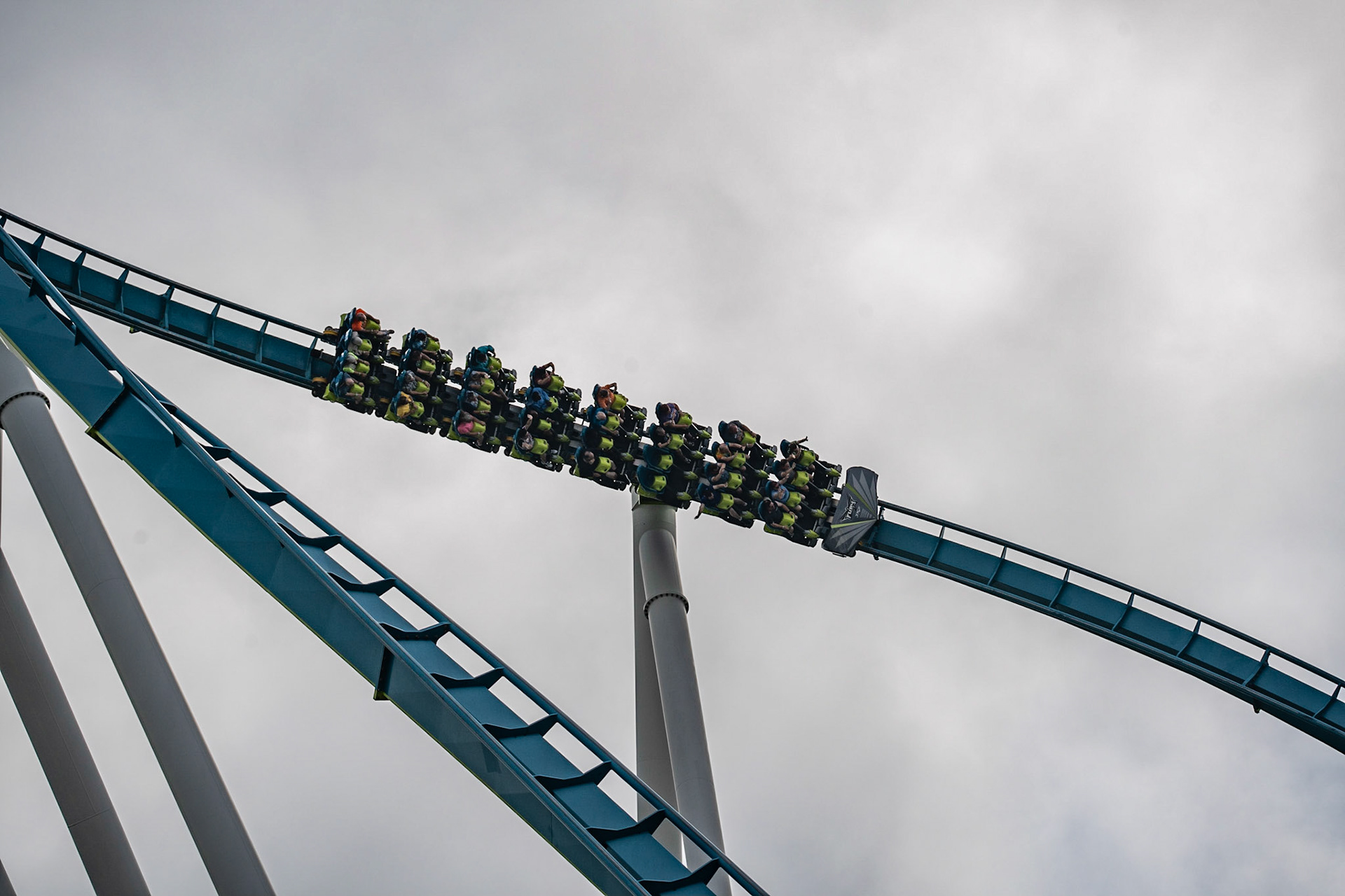 Photo by Jon Roost (www.jonroostphotos.com)