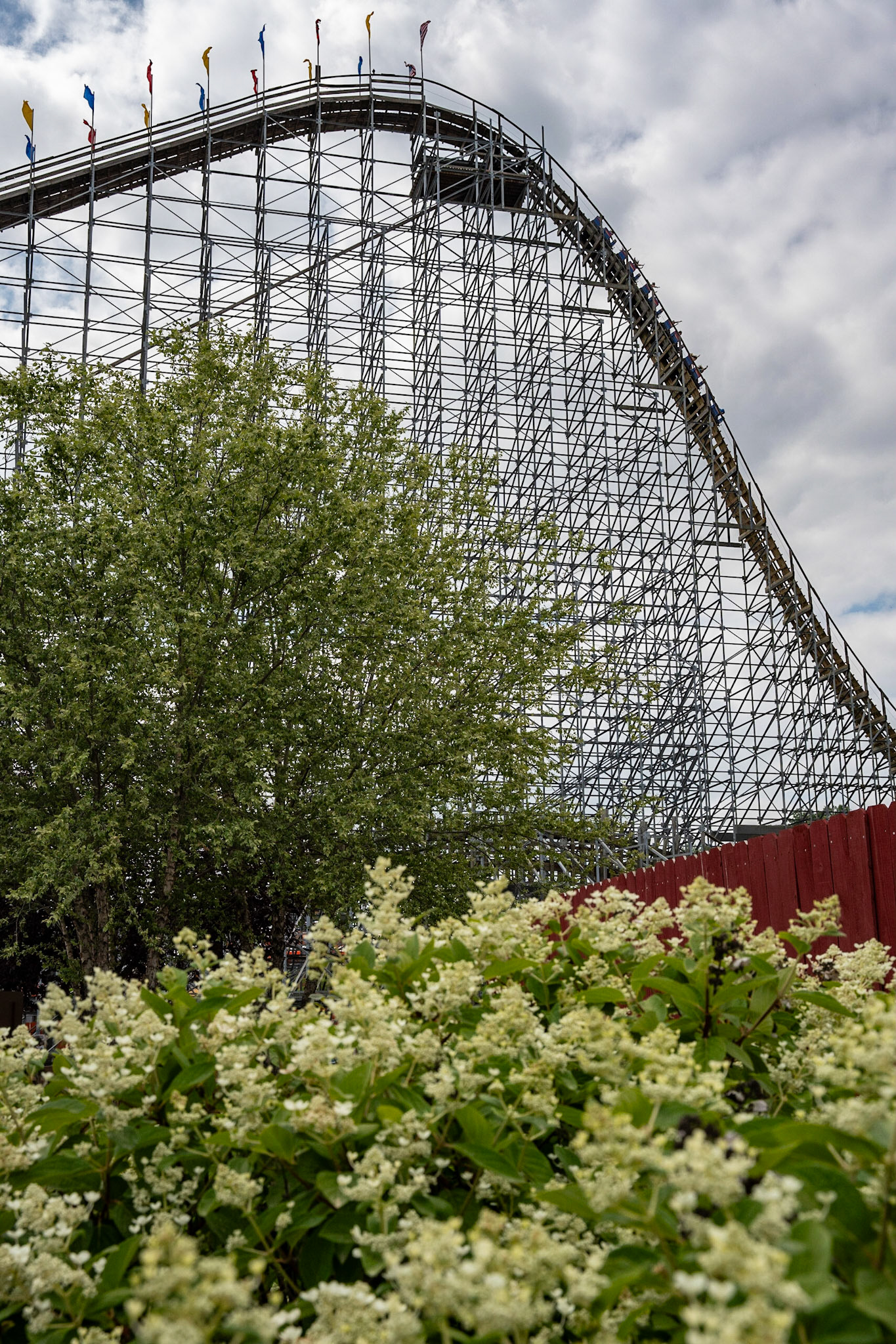 Photo by Jon Roost (www.jonroostphotos.com)