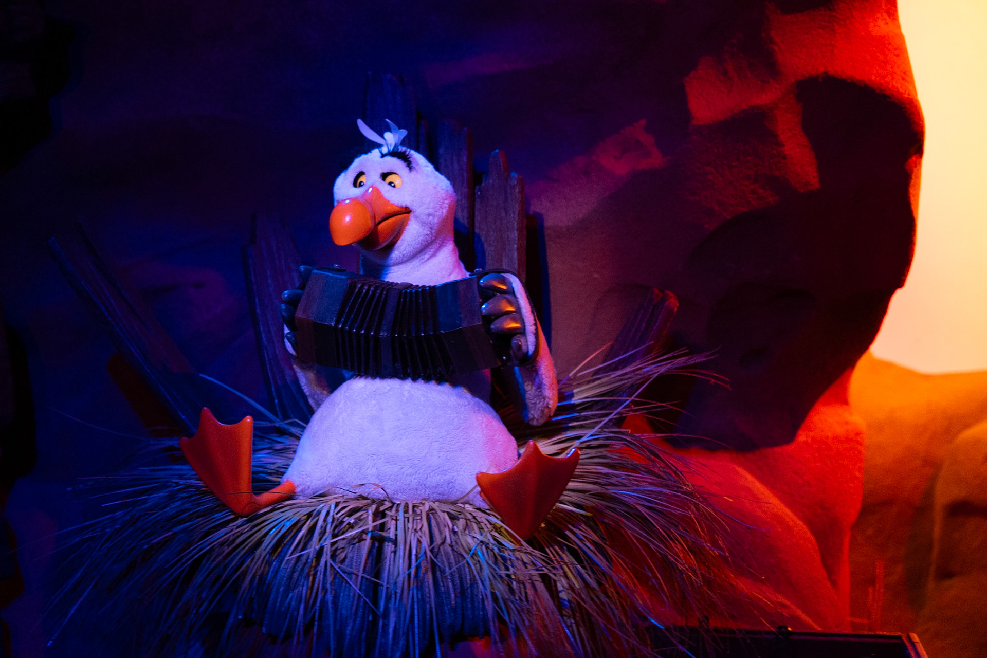 Photo by Jon Roost (www.jonroostphotos.com)