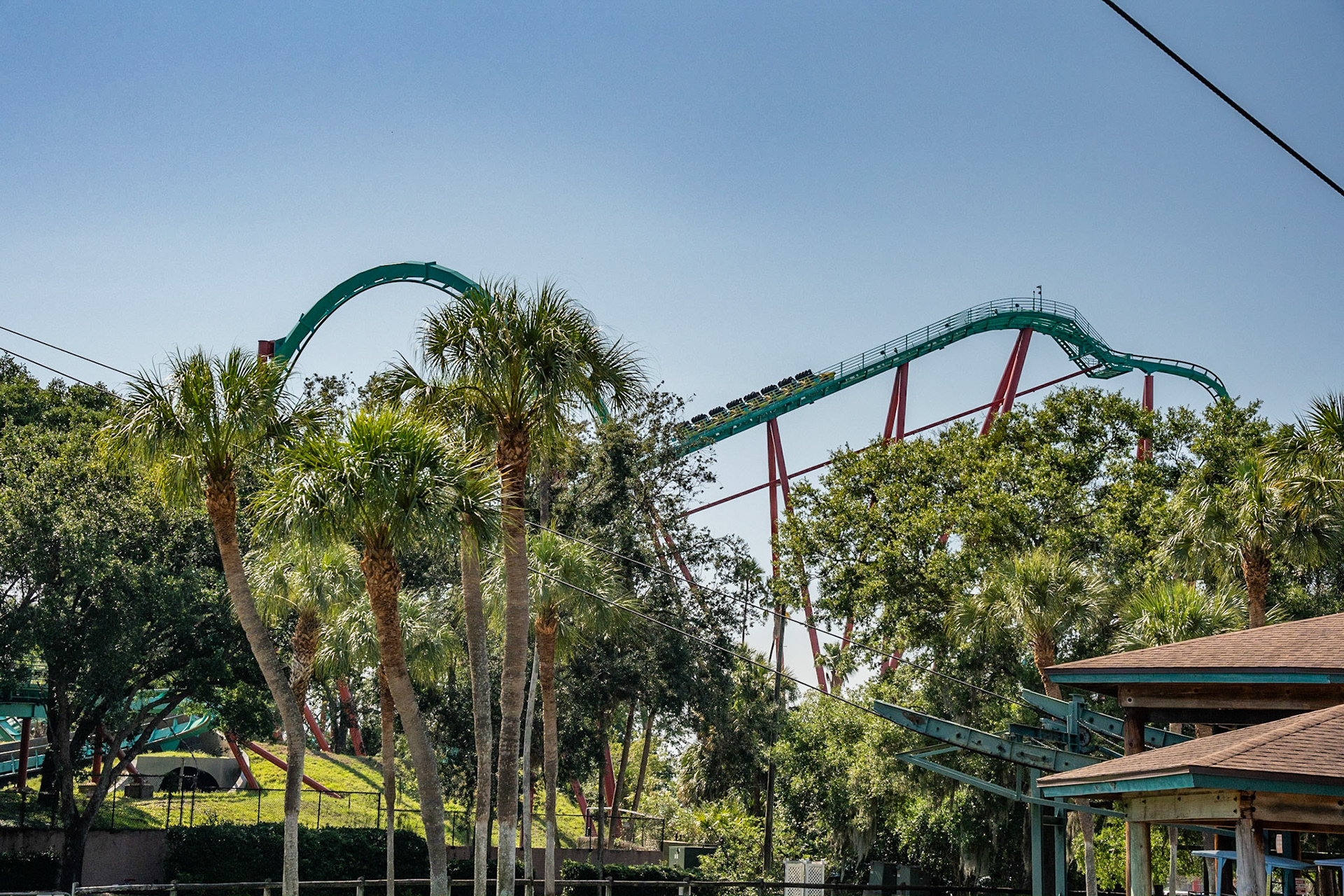 Photo by Jon Roost (www.jonroostphotos.com)