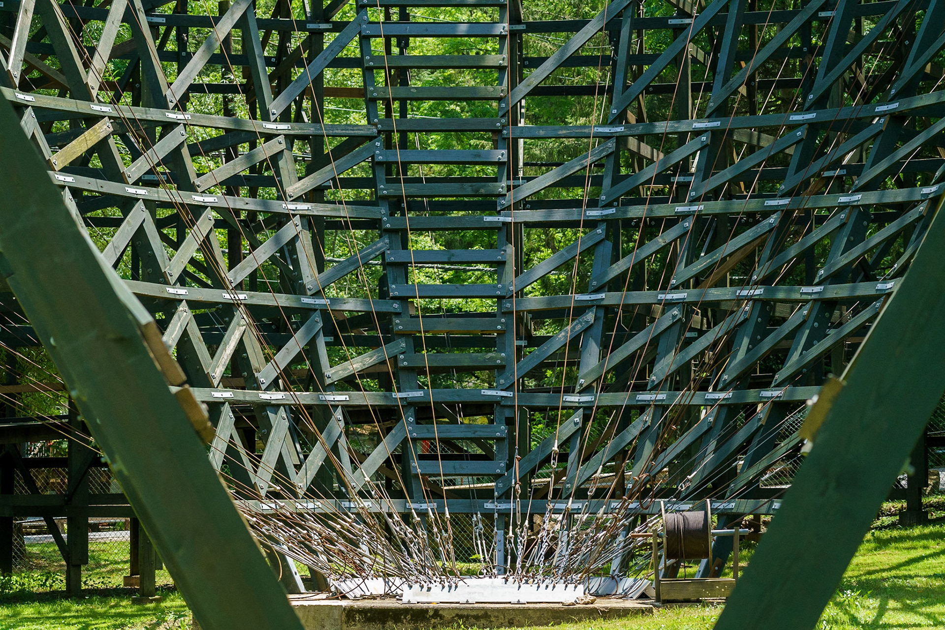 Photo by Jon Roost (www.jonroostphotos.com)